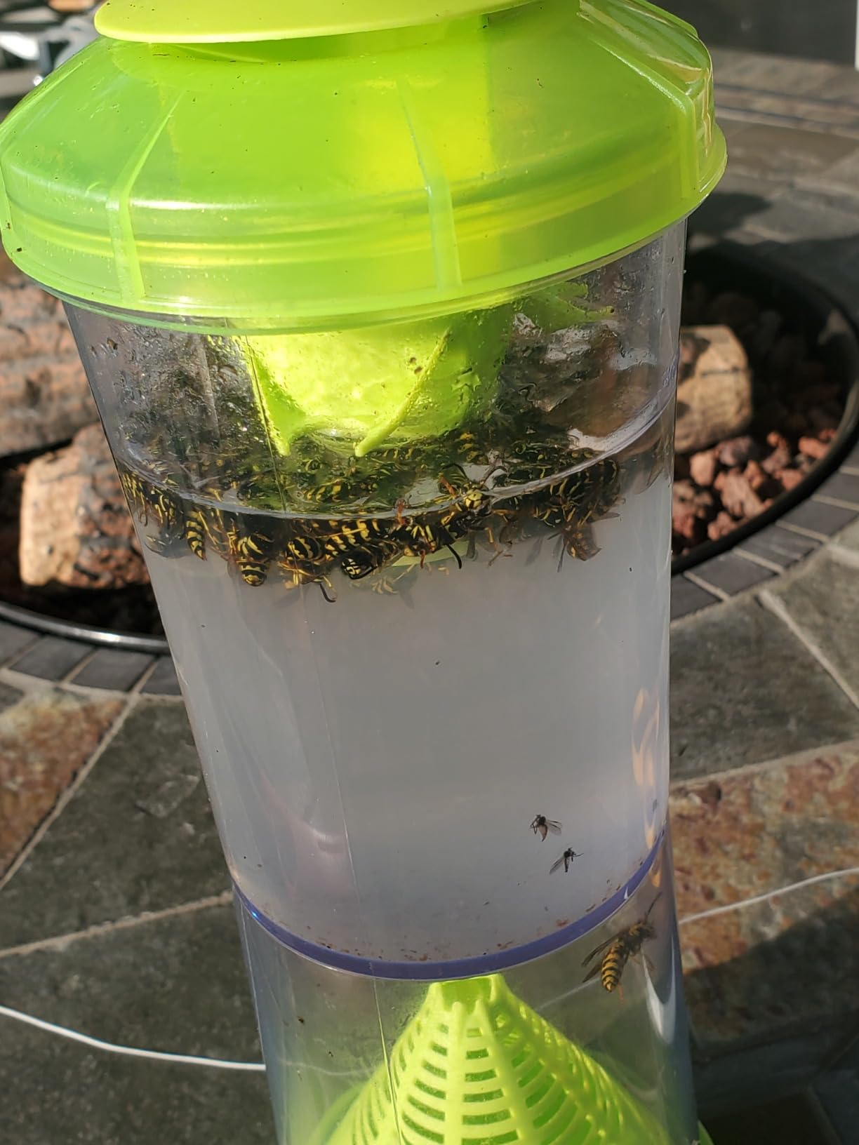 RESCUE! WHY Trap for Wasps, Hornets, & Yellowjackets – Hanging Outdoor Trap - 2 Traps customer photo 2