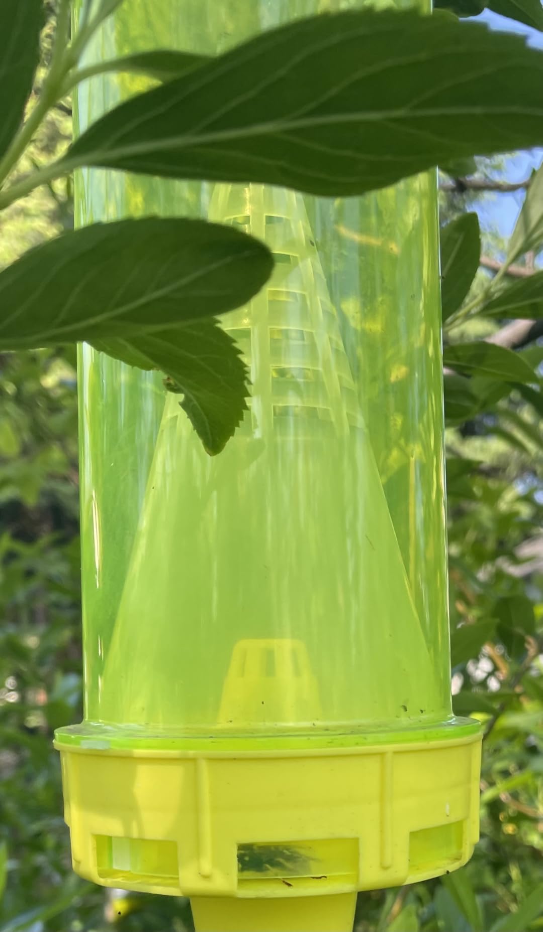 RESCUE! Reusable Yellowjacket Trap – Includes Attractant - 2 Traps customer photo 1