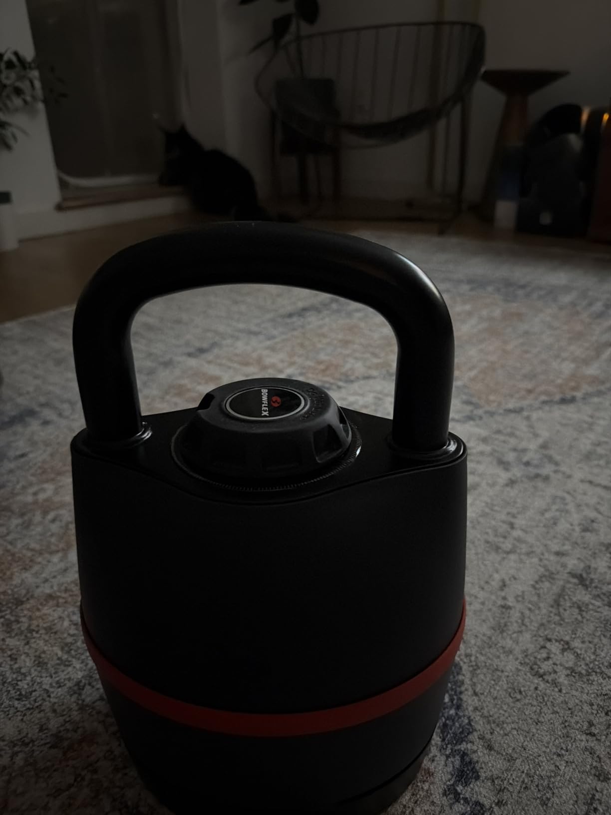 BowFlex SelectTech 840 Adjustable Kettlebell customer photo 2