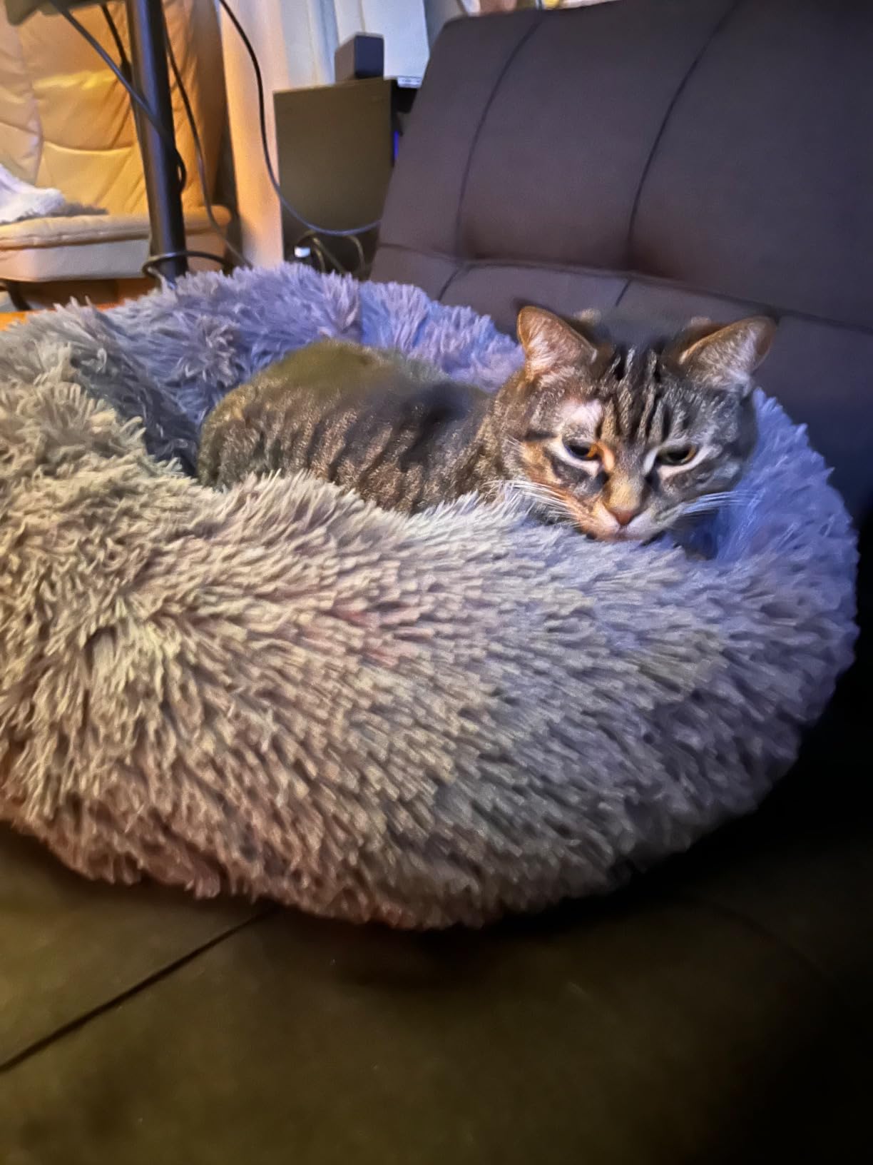 Love's cabin Calming Dog & Cat Bed, Cat Bed for Indoor Cats, Anti-Anxiety Donut Round Bed, Fluffy Warming Pet Bed for Small Medium Dogs and Cats, Beige Taupe 20