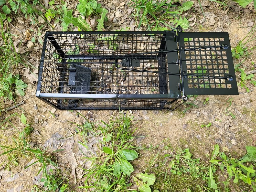 Gingbau 2-Pack Rat Traps Humane Live Chipmunk Mouse Trap Cages for Indoor and Outdoor Use customer photo 2