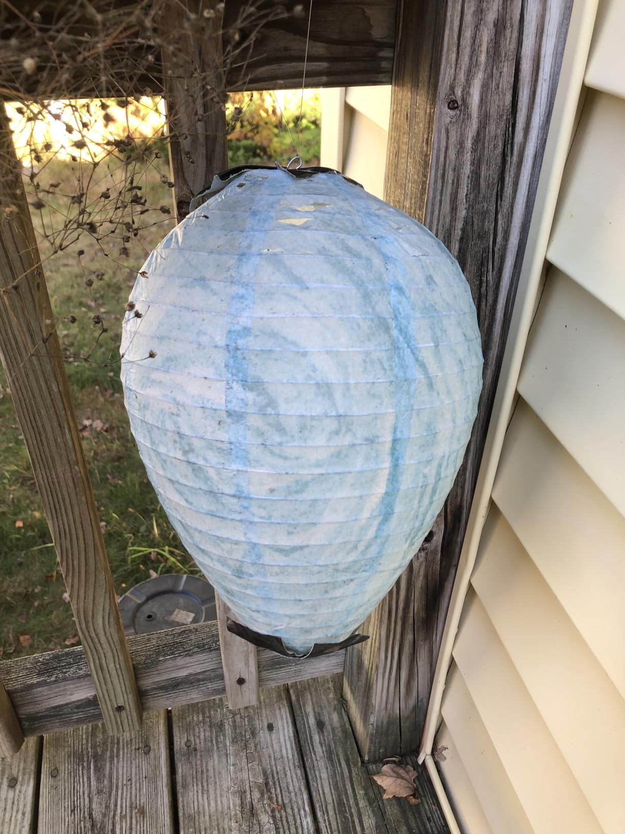 DECYOOL 4 Pack Paper Fake Wasp Nests Decoys for Yellow Jackets and Wasps customer photo 2