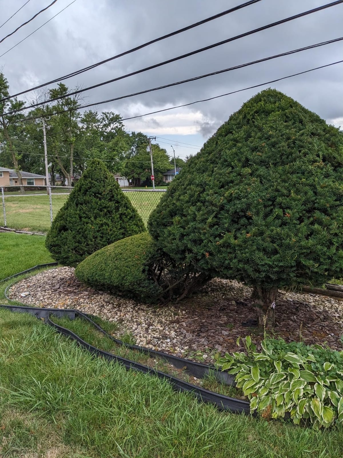 CRAFTSMAN V20 Pole Hedge Trimmer Cordless, 18-Inch, Battery and Charger Included Hedge Trimmer with Extension Pole, Up to 11 Ft Extended Reach (CMCPHT818D1) customer photo 1
