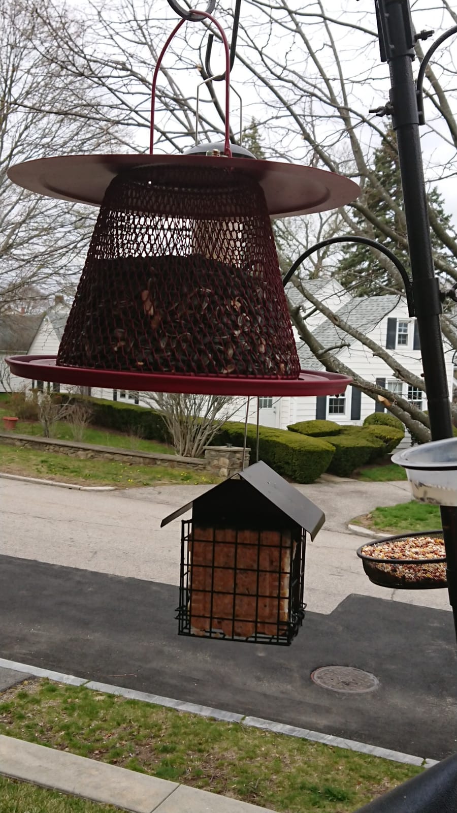 Suet Bird Feeder for Outside [Double Capacity] Suet Wild Bird Feeder with Hanging Metal Roof, Suet Feeders for Outside, for Use with Suet Cakes, Seed Cakes, Mealworm Cakes customer photo 1
