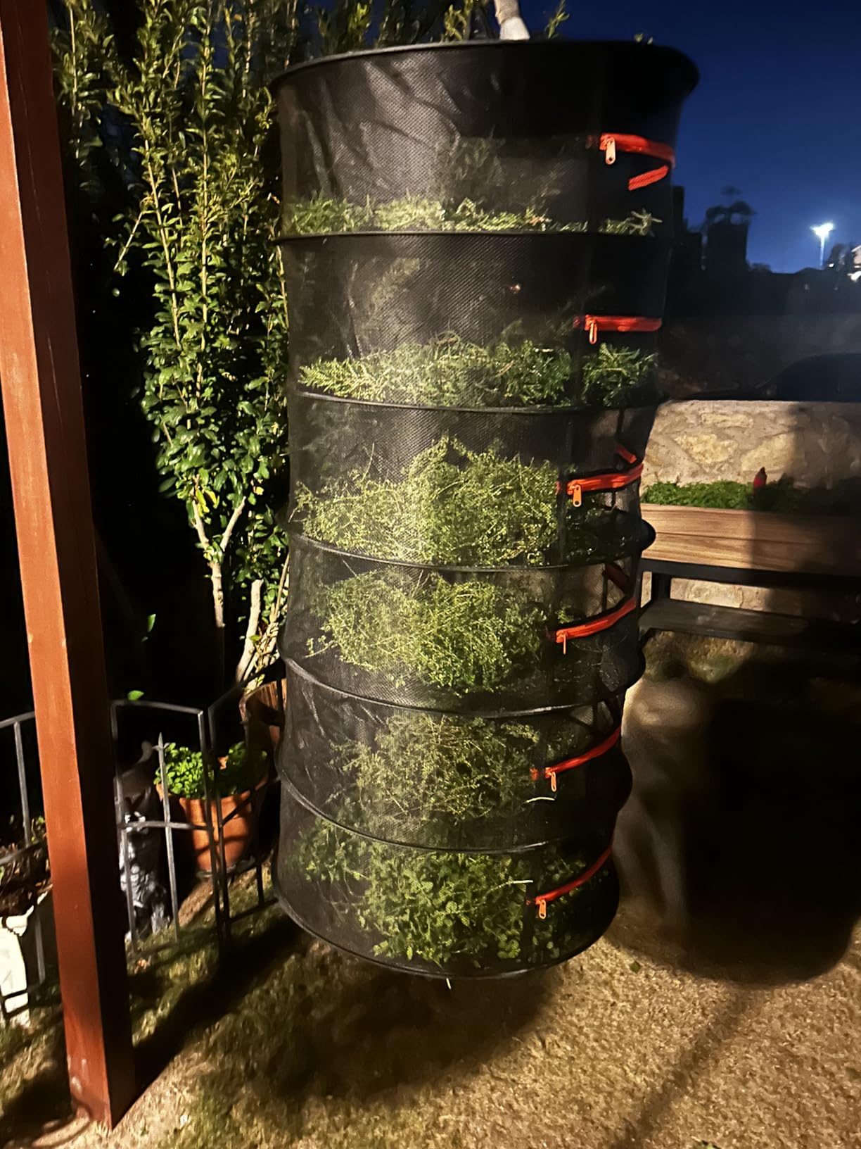 Desy & Feeci Herb Drying Rack-2ft Diameter 8 Layer Folding Mesh Hanging Basket Dryer Net with Zippers for Seeds Flowers Buds Plants Garden Outdoor Bumper Harvest(D24xH31 inch) customer photo 1