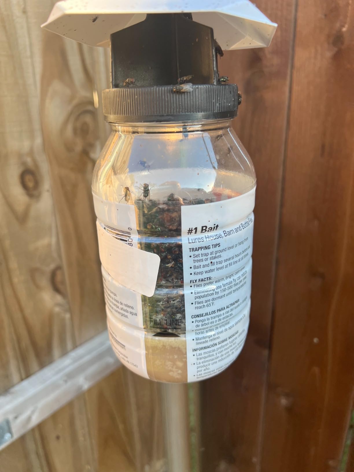 Outdoor Fly Trap [2 Pack] Fly Traps Outdoor with Dissolvable Non-Toxic Bait - Controls Flies for Patios, Hanging Fly Traps with Tie Included customer photo 2