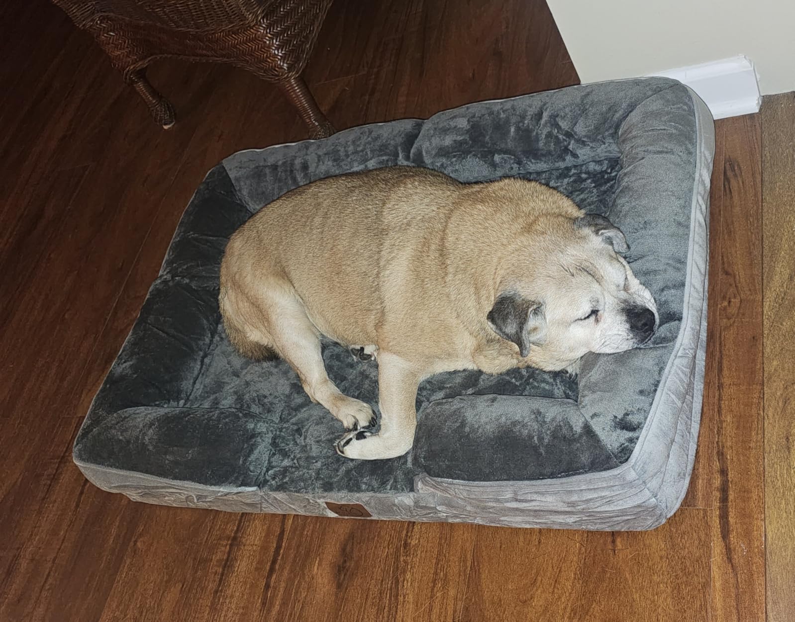 Bedsure Orthopedic Dog Beds Large Sized Dog Washable Original Design customer photo 2
