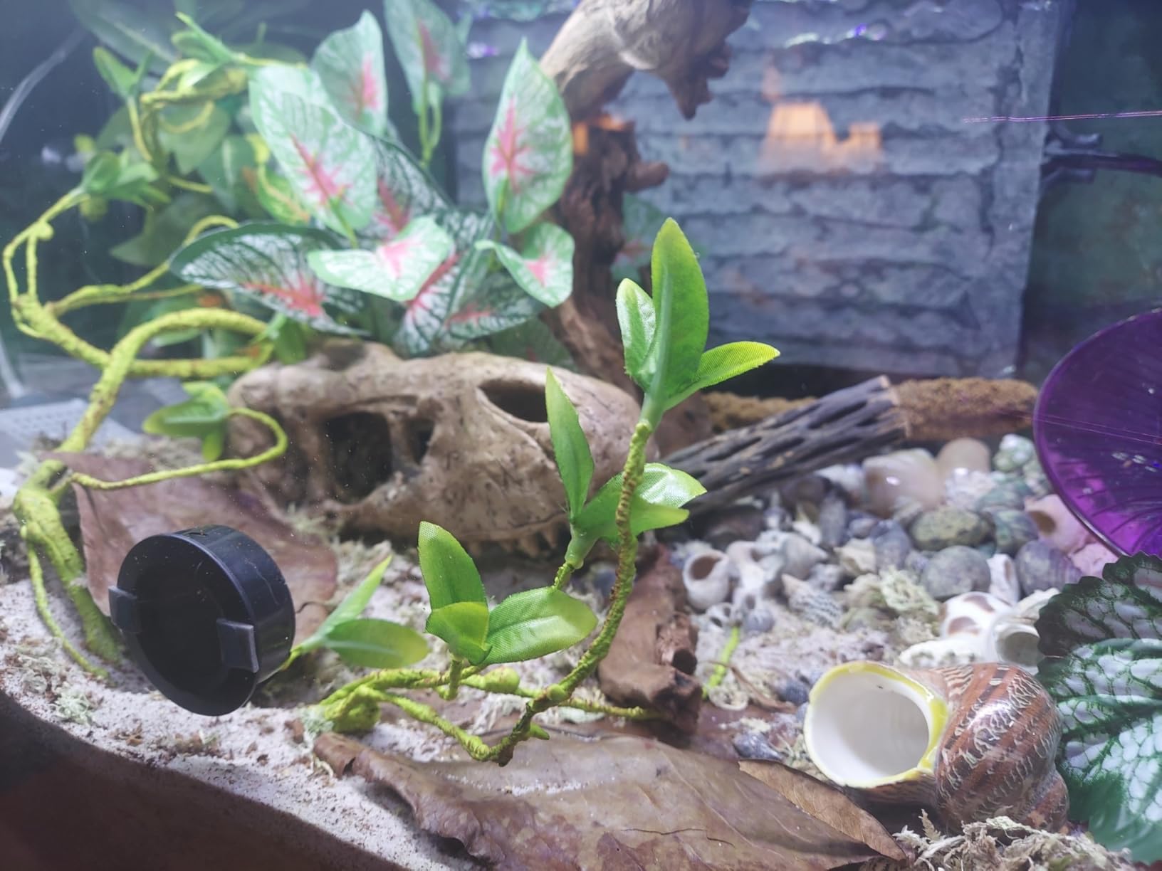 Tetra 29 Gallon Glass Aquarium, Rectangular Fish Tank customer photo 2