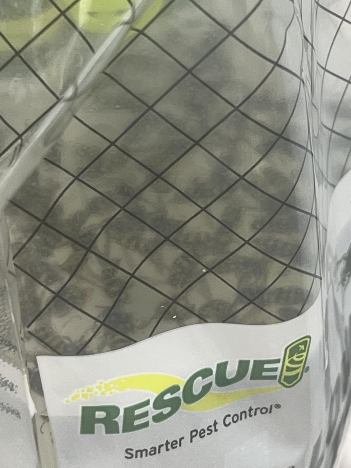 Raid Yellow Jacket, Wasp & Hornet Trap, 3 Pack, Disposable, Convenient, Hanging Fly Trap Bags with Food-Based Lure, No-Spray Outdoor Fly Traps Suitable Defense for Yards, Patios & Campsites customer photo 2