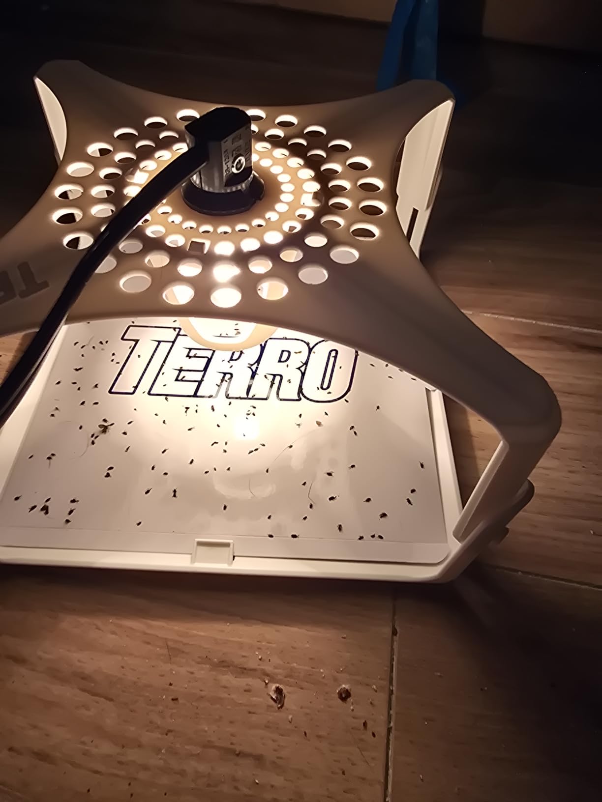 TERRO Indoor Electric Flea Trap and Killer, Refillable Plug in Bug Trap customer photo 1