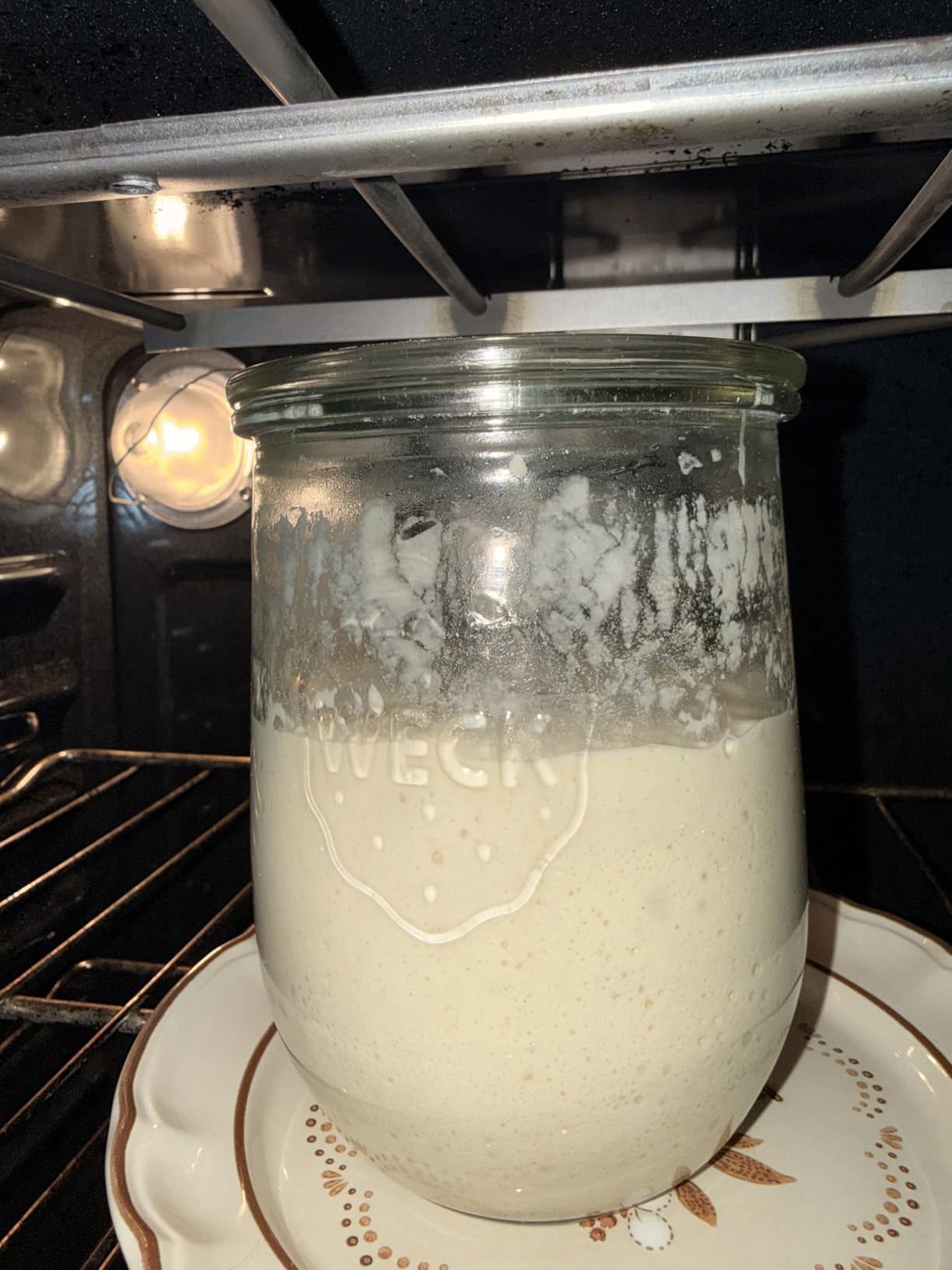 Weck Tulip Jars 1 Liter - Large Sour Dough Starter Jars with Wide Mouth - Suitable for Canning and Storage - 2 with Glass Lids customer photo 1