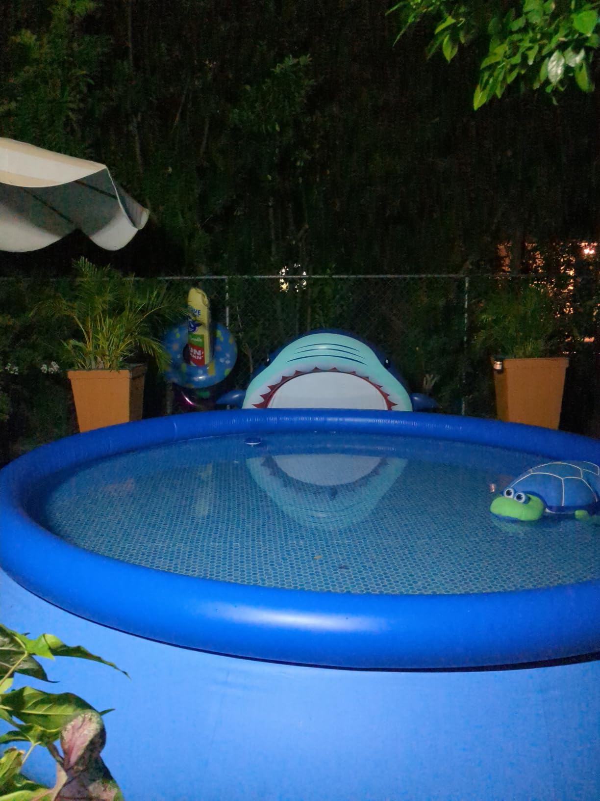 Intex Easy Set 8ft x 24in Inflatable Ring Above Ground Pool Set w/Pump customer photo 1