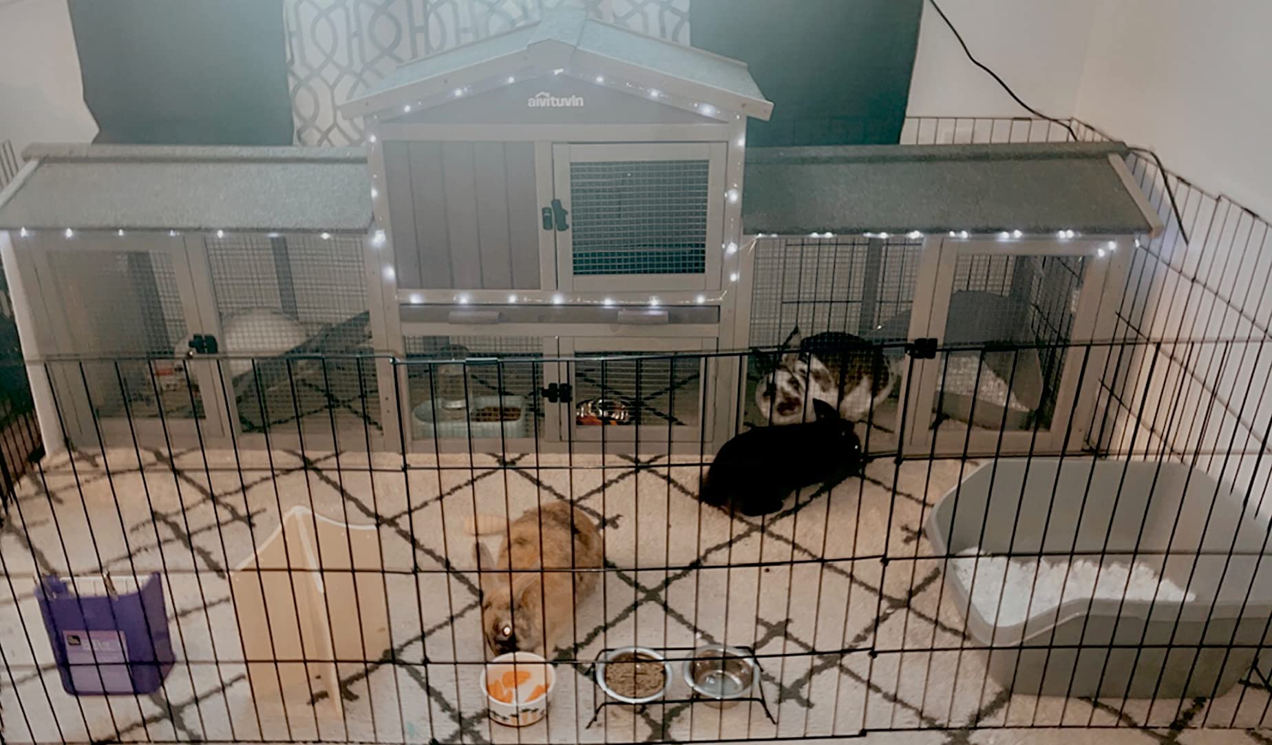 Aivituvin Rabbit Hutch Bunny Hutch Large Rabbit Cage, Indoor Bunny Cages Outdoor Rabbit House (Style2) customer photo 2