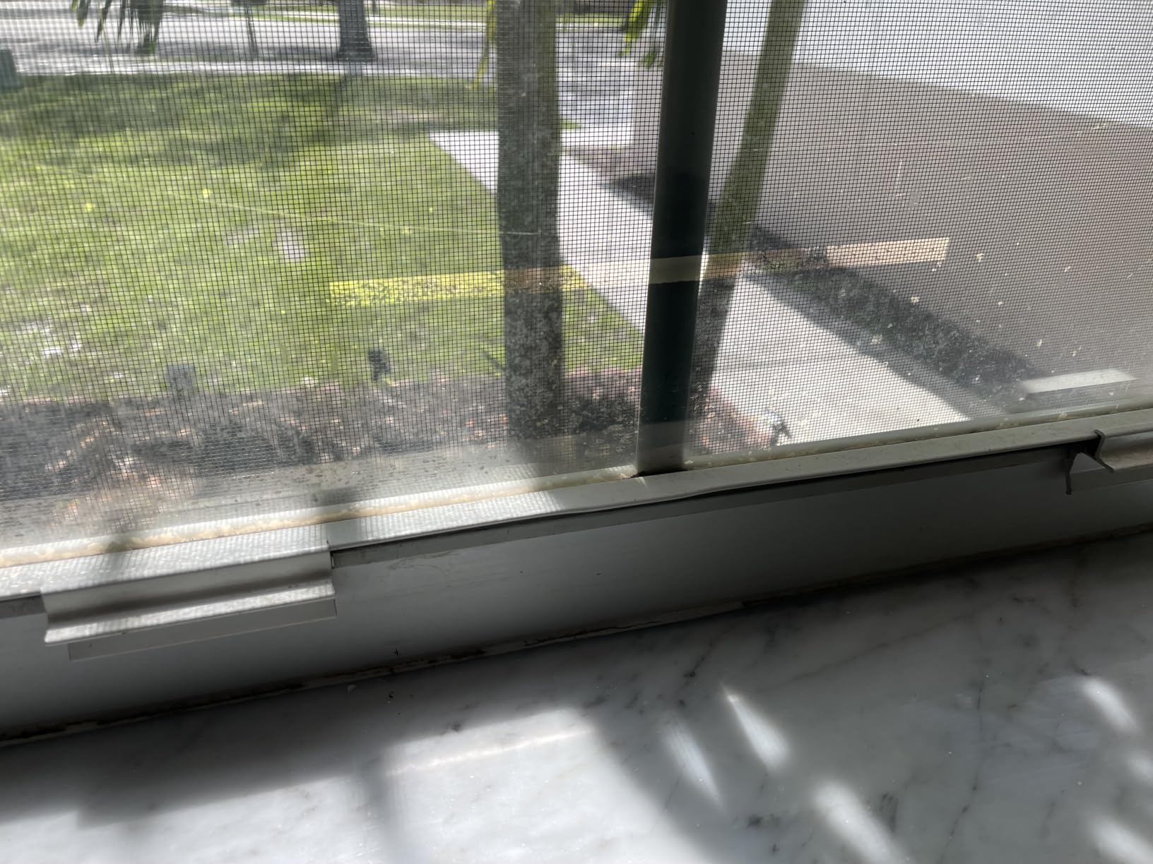Kensizer 30-Pack Window Fly Traps for Indoors, House Fly Trap customer photo 2