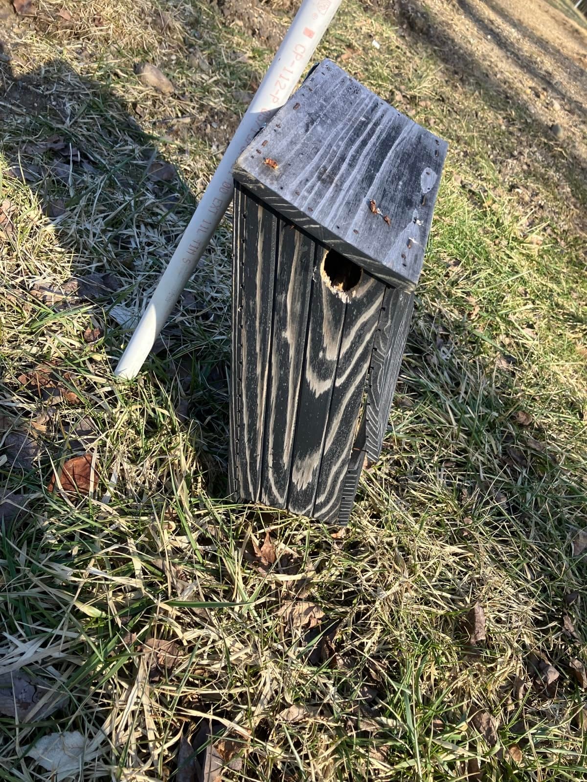 Bat Houses for Outdoors for Tree, Real Bark, 3 Chamber customer photo 2