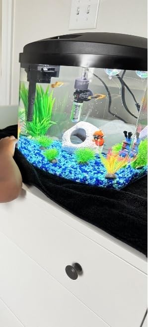 Aqueon LED MiniBow Small Aquarium Fish Tank Kit, Black, 2.5 Gallon customer photo 1