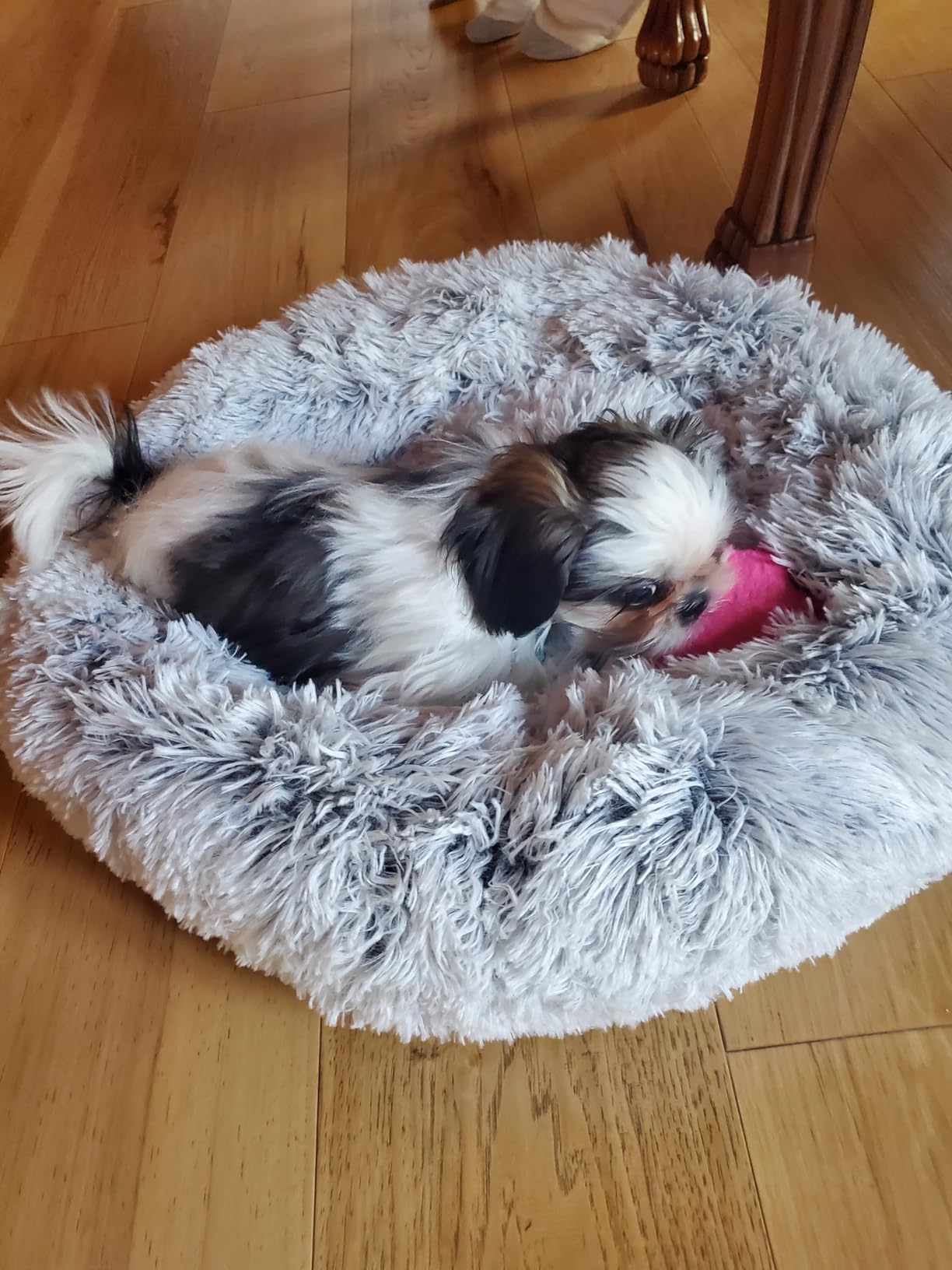 WESTERN HOME WH Calming Dog Bed & Cat Bed Washable Puppy Bed,24