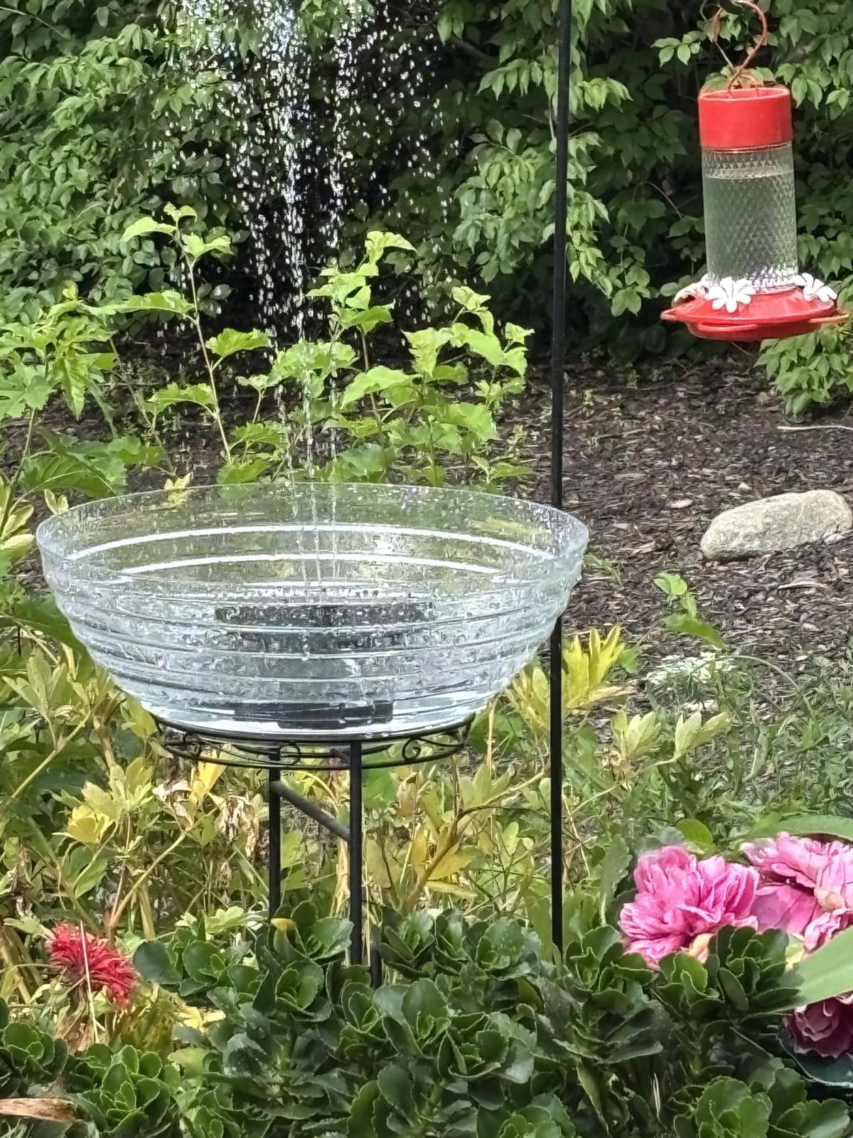 Mademax Upgraded Solar Fountain with 4 Easy Install Nozzle and Fixer, Solar Powered Fountain Pump for Bird Bath, Garden, Pond, Pool, Fish Tank, Outdoor customer photo 2