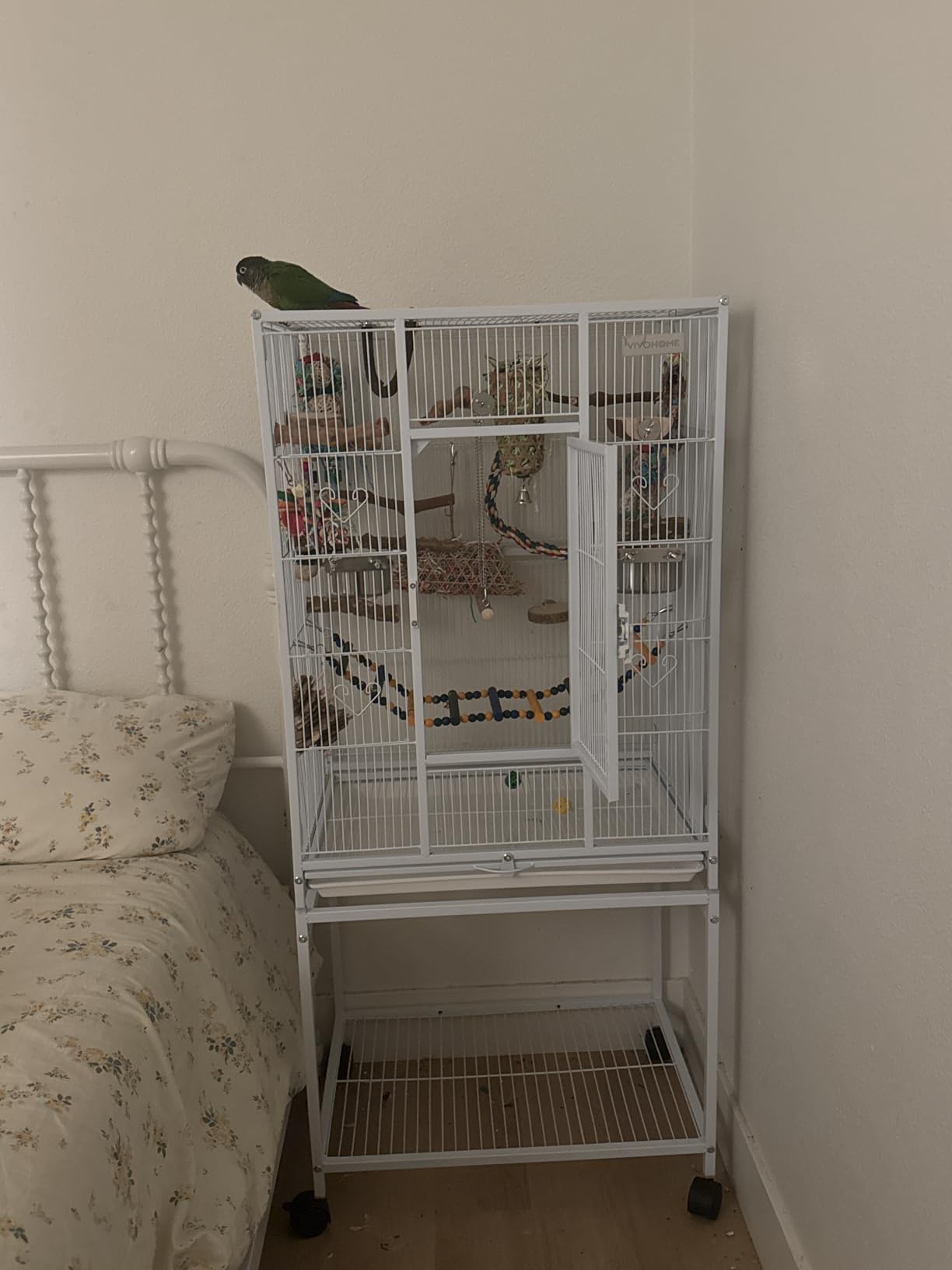 VIVOHOME 54 Inch Wrought Iron Large Bird Cage with Rolling Stand customer photo 1
