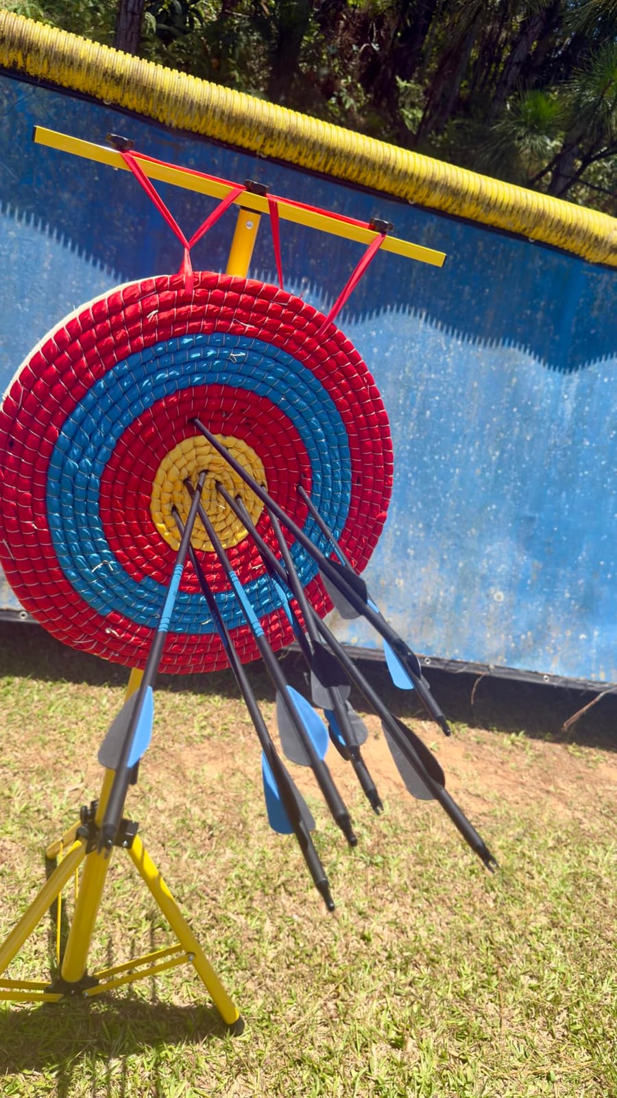 Sanlida Archery Dragon X8 RTH Compound Bow Package for Adults and Teens,18”-31” Draw Length,0-70 Lbs Draw Weight,up to IBO 310 fps,No Bow Press Needed,Limited Life-time Warranty,RH Only customer photo 2