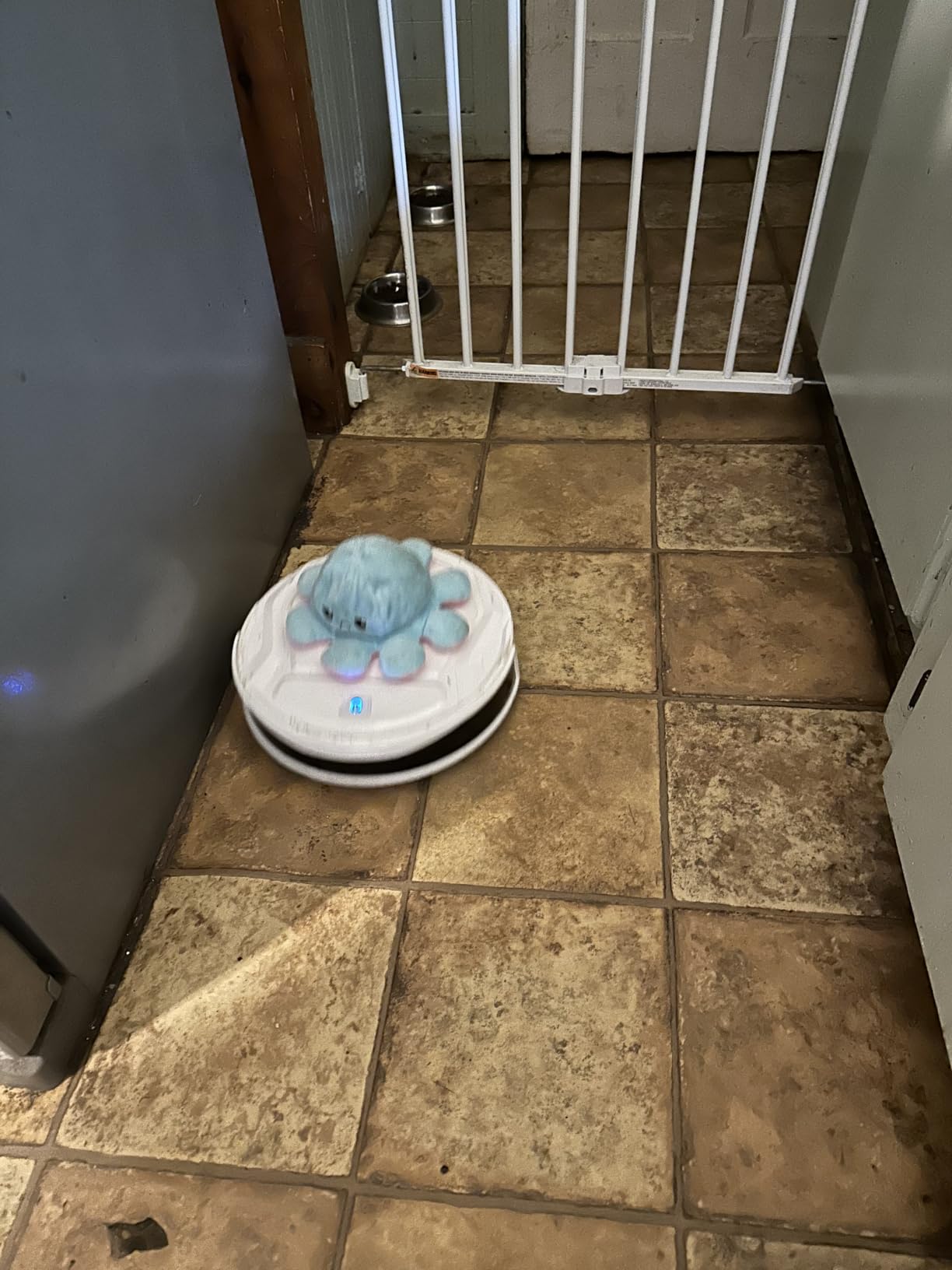 Lefant Robot Vacuum Cleaner, Strong Suction, 120 Mins Runtime, Slim, Low Noise, Automatic Self-Charging, Wi-Fi/App/Alexa Control, Ideal for Pet Hair Hard Floor and Daily Cleaning, M210 customer photo 2