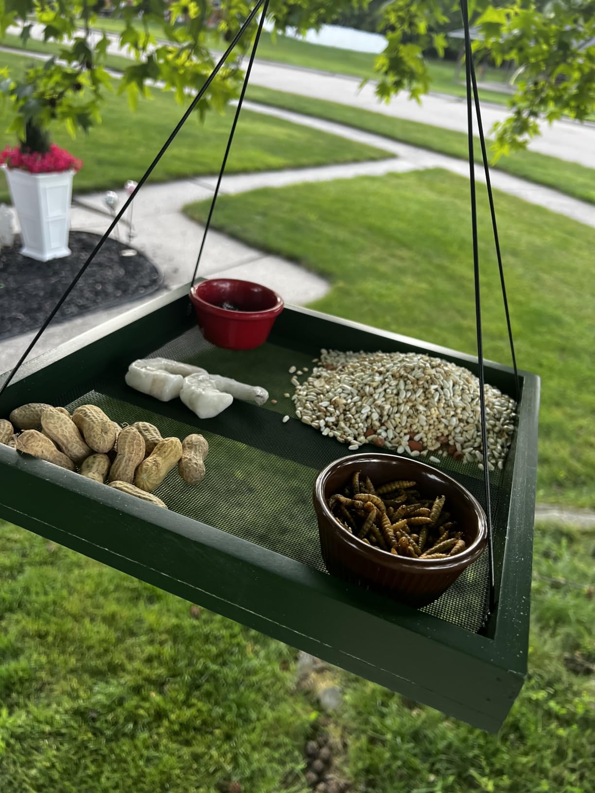 MIXXIDEA Bird Feeder Hanging Tray, Bird Feeders for Outdoors, Wooden Seed Tray Platform Mesh Seed Platform for Garden Yard Outside Decoration Attracting for Wild Birds (Green-1pk) customer photo 1