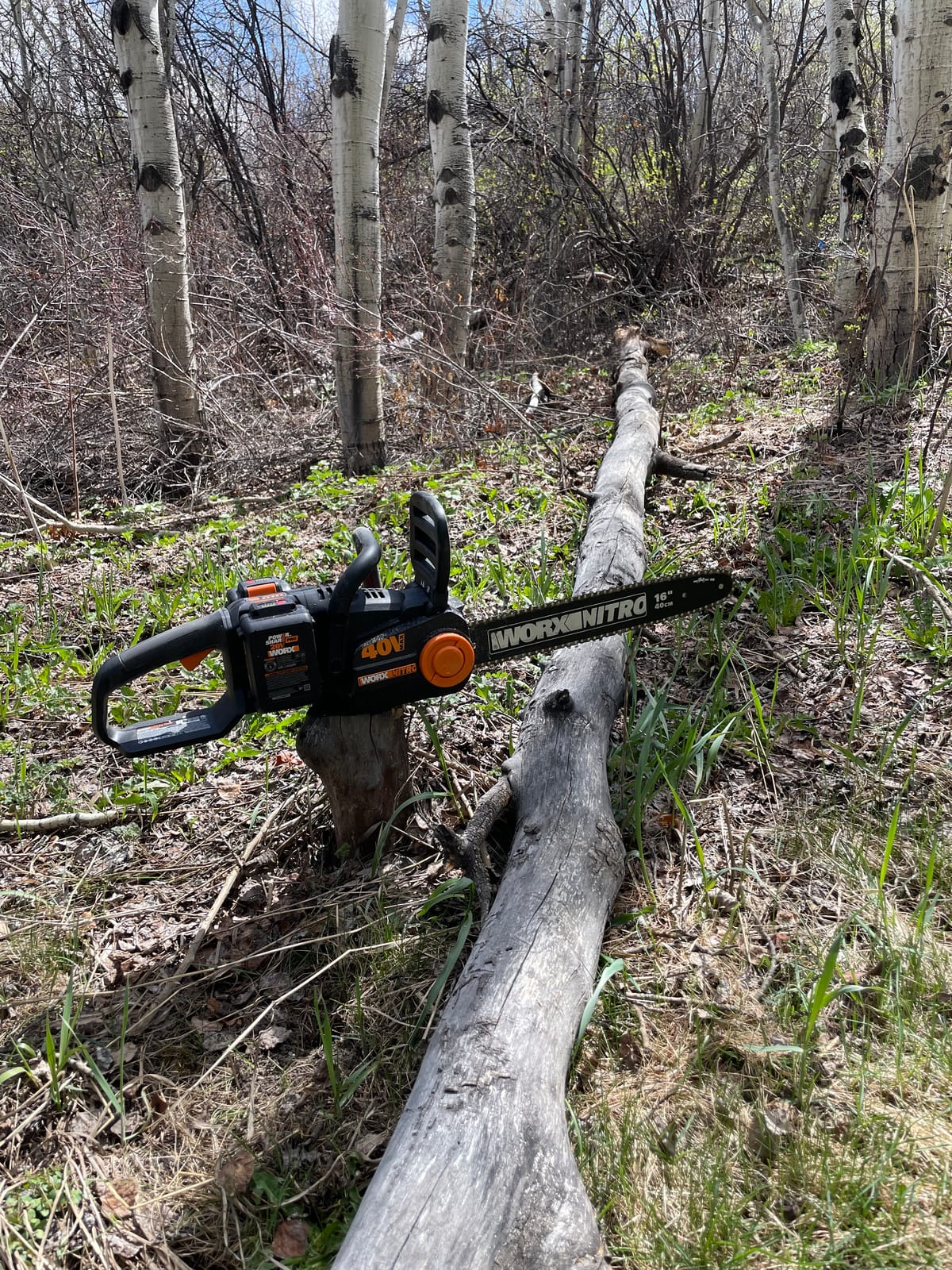 WORX Cordless Chainsaw, 40V 16