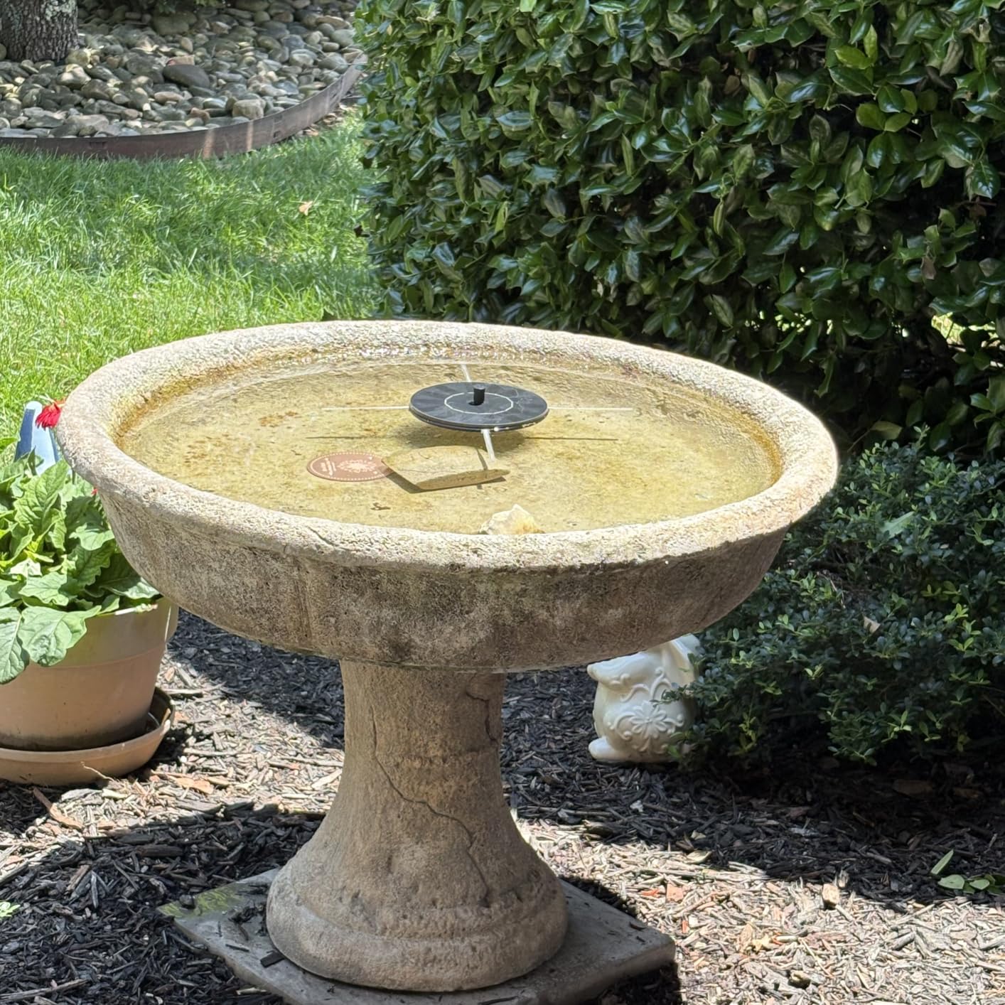Solar Fountain Water Pump for Bird Bath, Floating Solar Powered Water Fountain Pump for Bird Bath, Garden, Pond, Pool, Outdoor (1.4W) customer photo 1