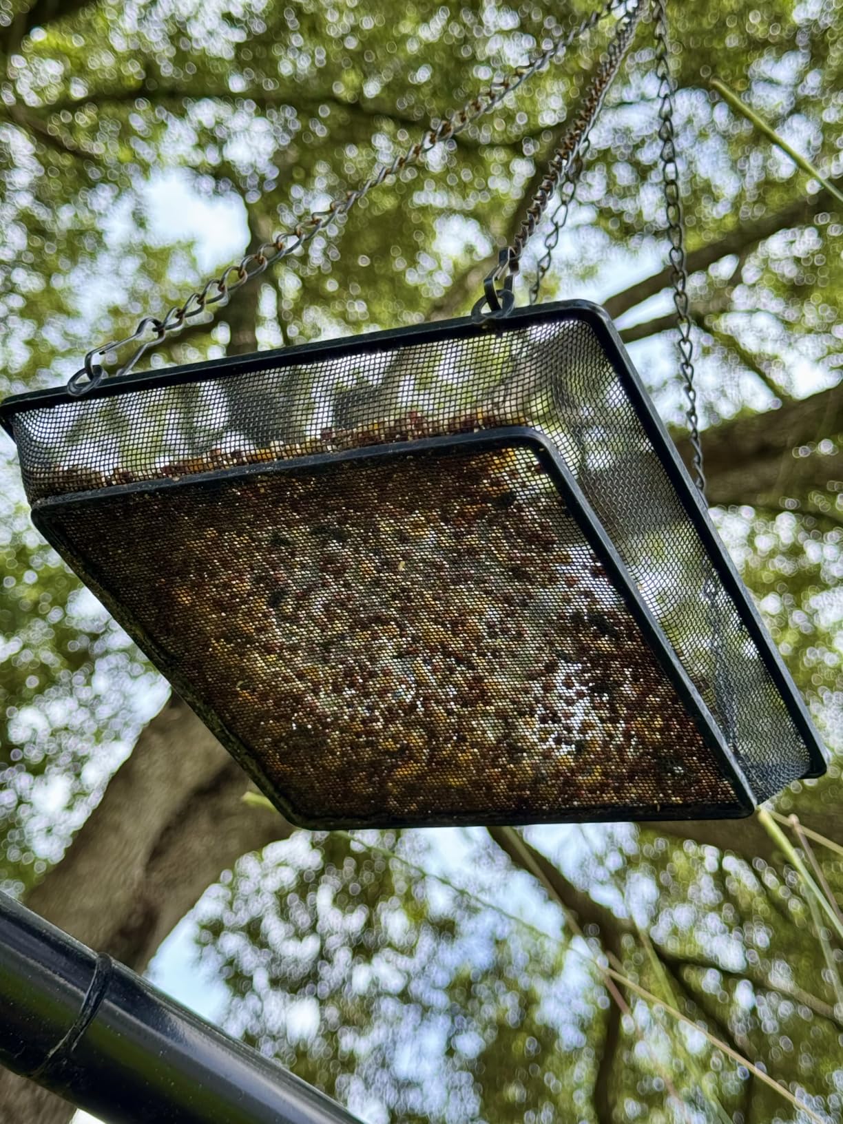 Hanging Bird Feeder Tray Platform Metal Mesh Seed Tray for Bird Feeding Outdoor Garden Decoration for Backyard Attracting Wildbirds customer photo 2