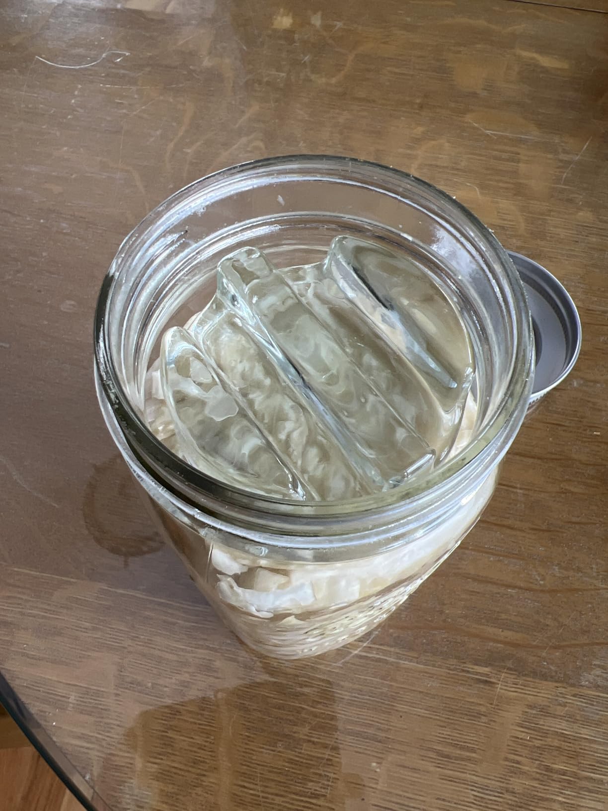 Elementi Fermentation Weight Set of 4 - Easy to Use Glass Fermenting Weights, Perfect Fit for Wide Mouth Mason Jars, Highly Durable Soda-Lime Glass Fermentation Kit for Sauerkraut, Kimchi & More customer photo 2