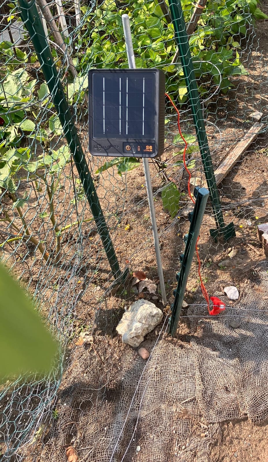 Gallagher S6 Solar Electric Fence Charger | Solar Fence Energizer for Gardens, Chickens, Goats, and Pets | Solar-Powered Fence Charger with Lithium Battery | Mounts Directly to Grounding Rod customer photo 1