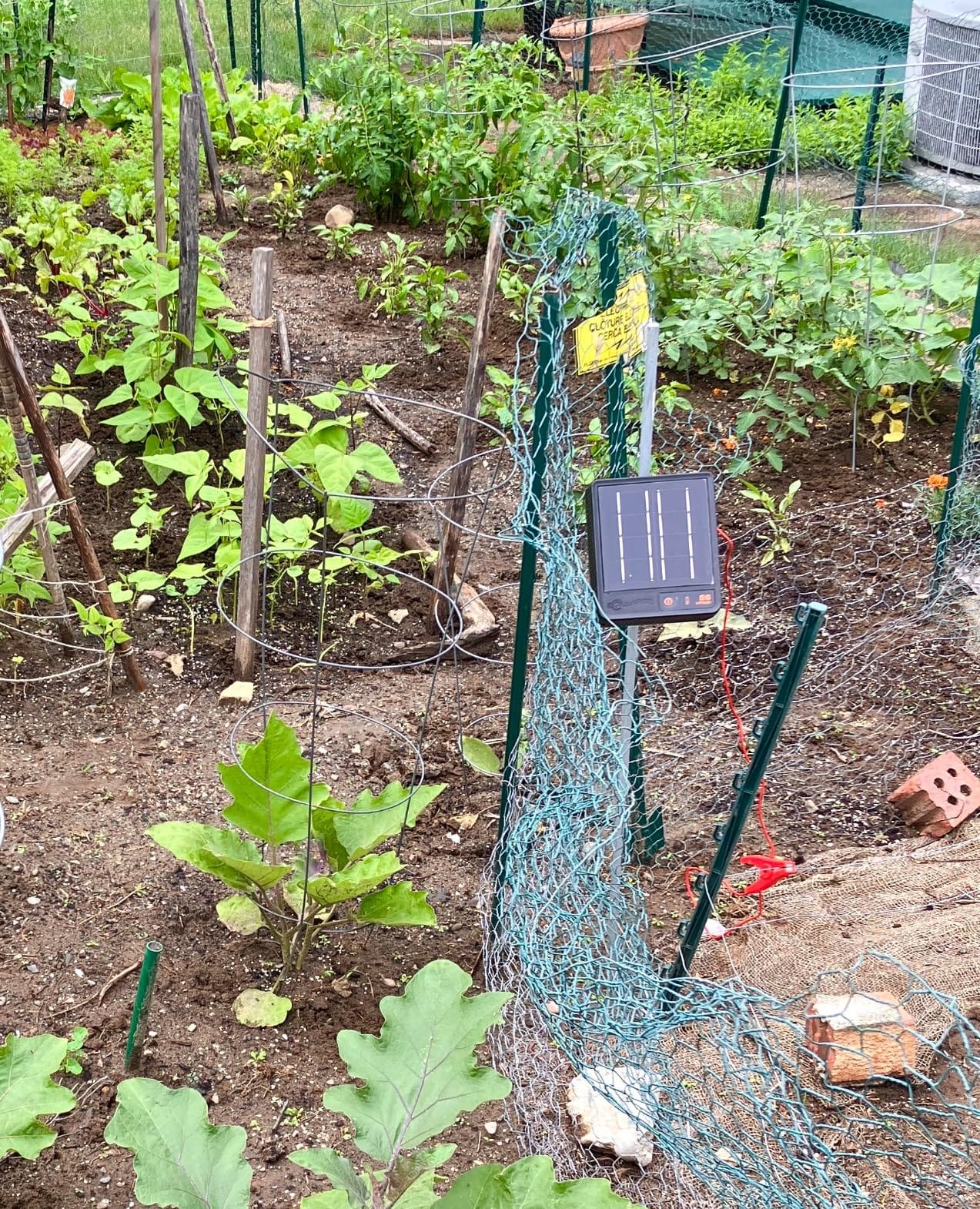Gallagher S6 Solar Electric Fence Charger | Solar Fence Energizer for Gardens, Chickens, Goats, and Pets | Solar-Powered Fence Charger with Lithium Battery | Mounts Directly to Grounding Rod customer photo 2