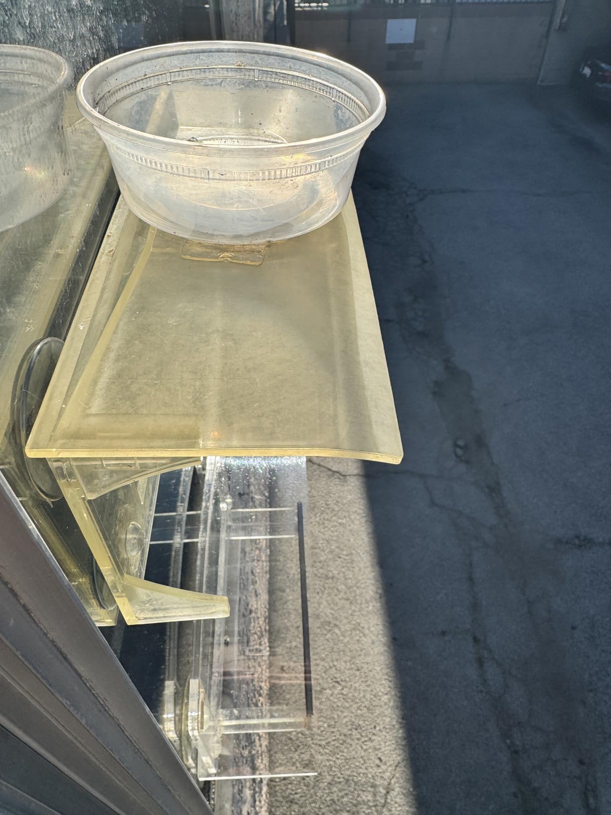 Window Bird Feeder with Strong Suction Cups - (Upgraded 2026 Model) Clear Acrylic Feeder Window for Cats Bird House Gift customer photo 1