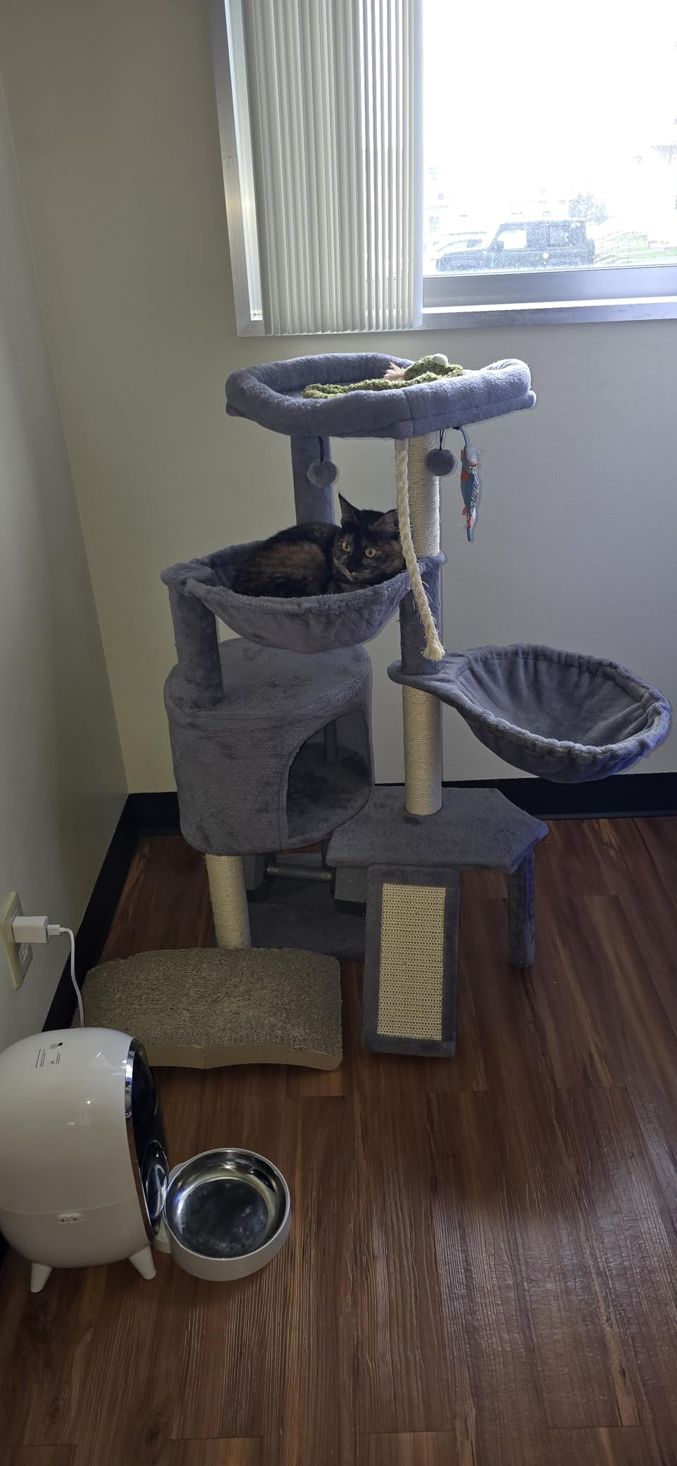 Three Layer Cat Tree with Cat Condo and Two Hammocks,Grey customer photo 1
