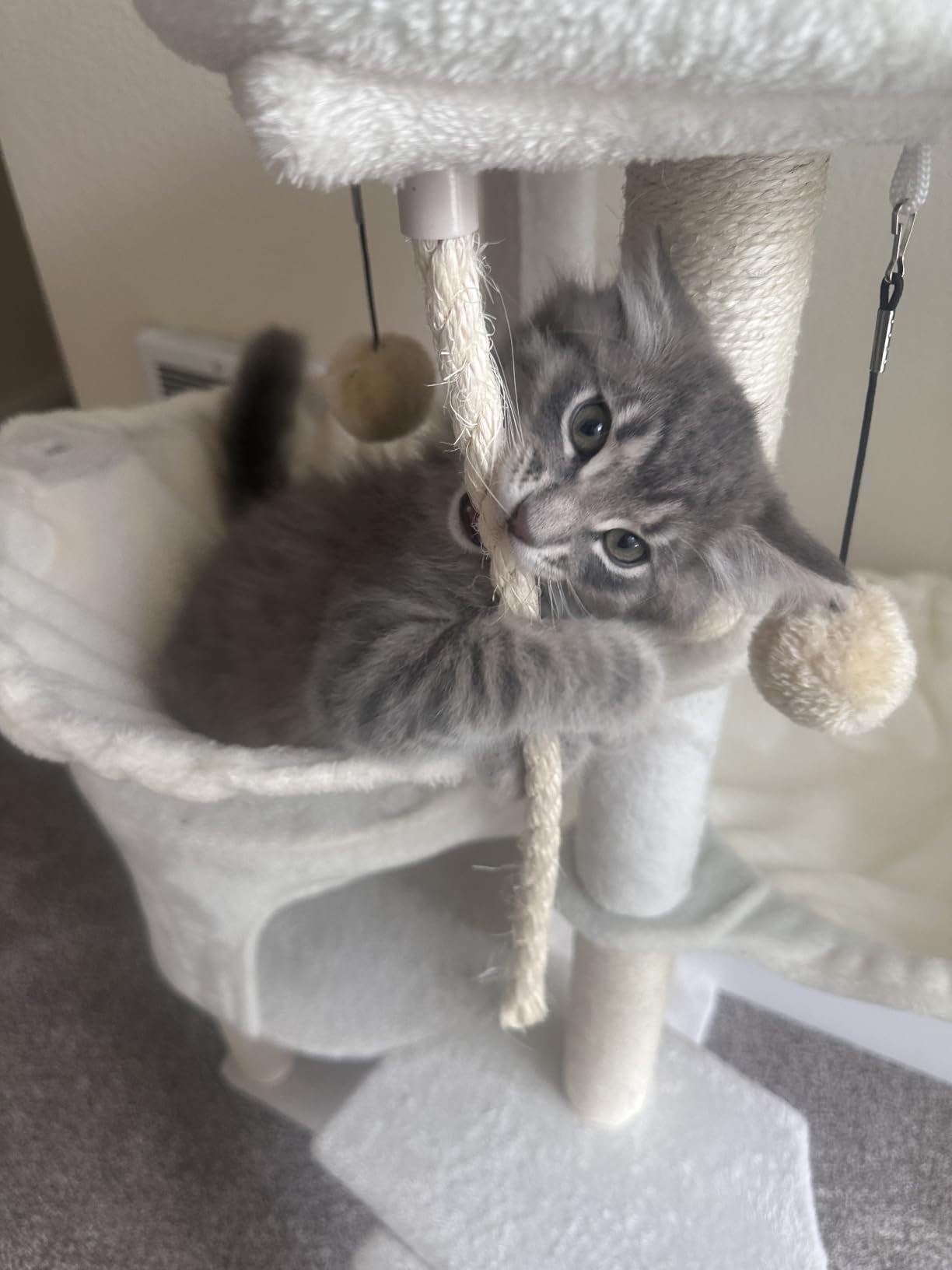 Three Layer Cat Tree with Cat Condo and Two Hammocks,Grey customer photo 2