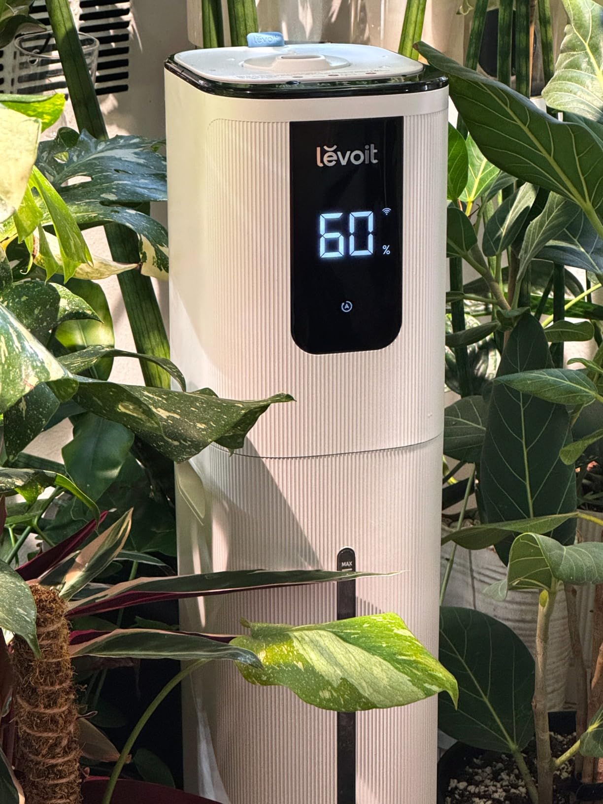 Levoit LV600S Smart Warm&Cool Mist Humidifiers for Home Bedroom Large Room customer photo 2