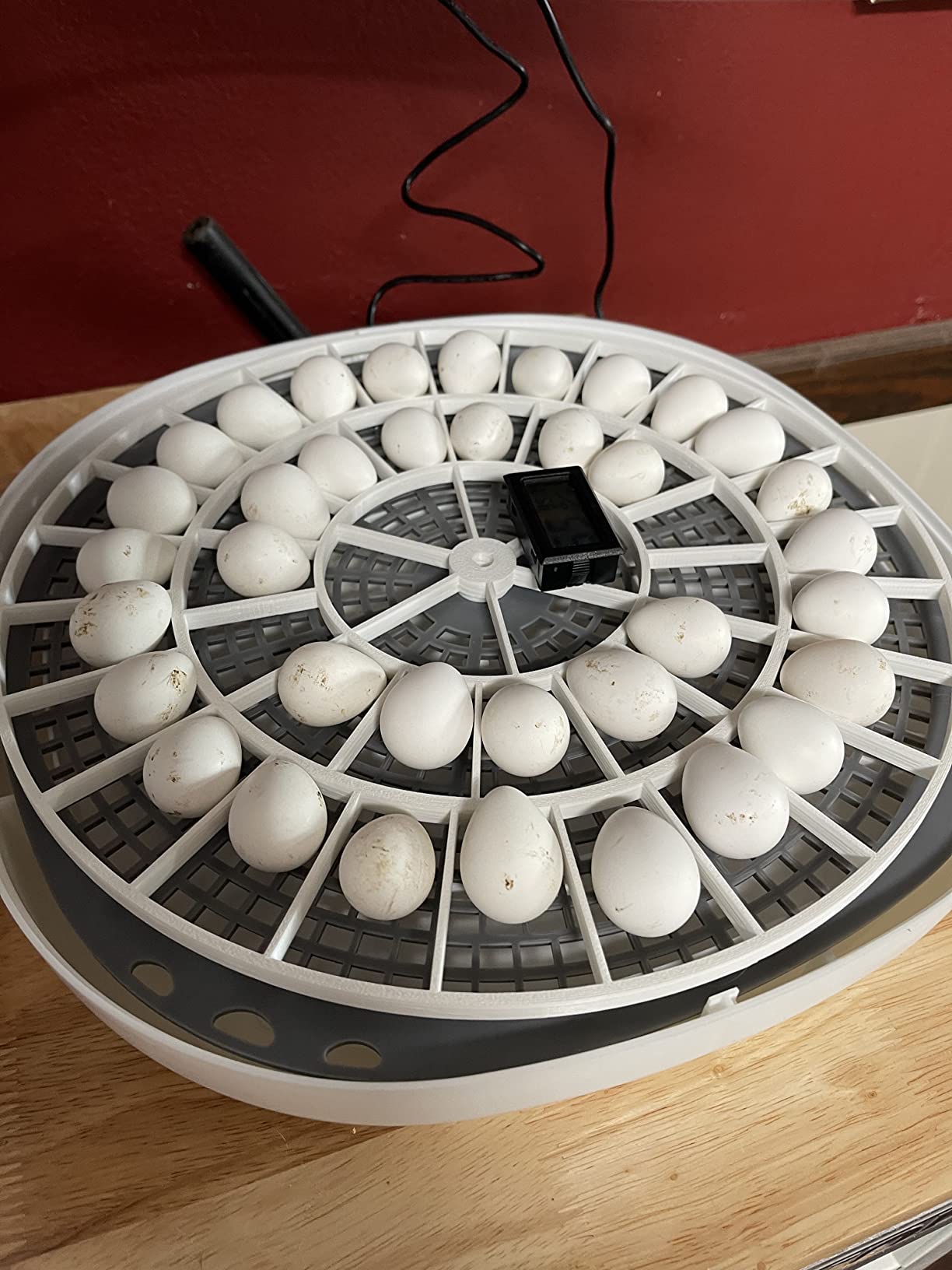 Generic 3D Printed Quail Egg Turner for Nurture Right 360 Incubator customer photo 1