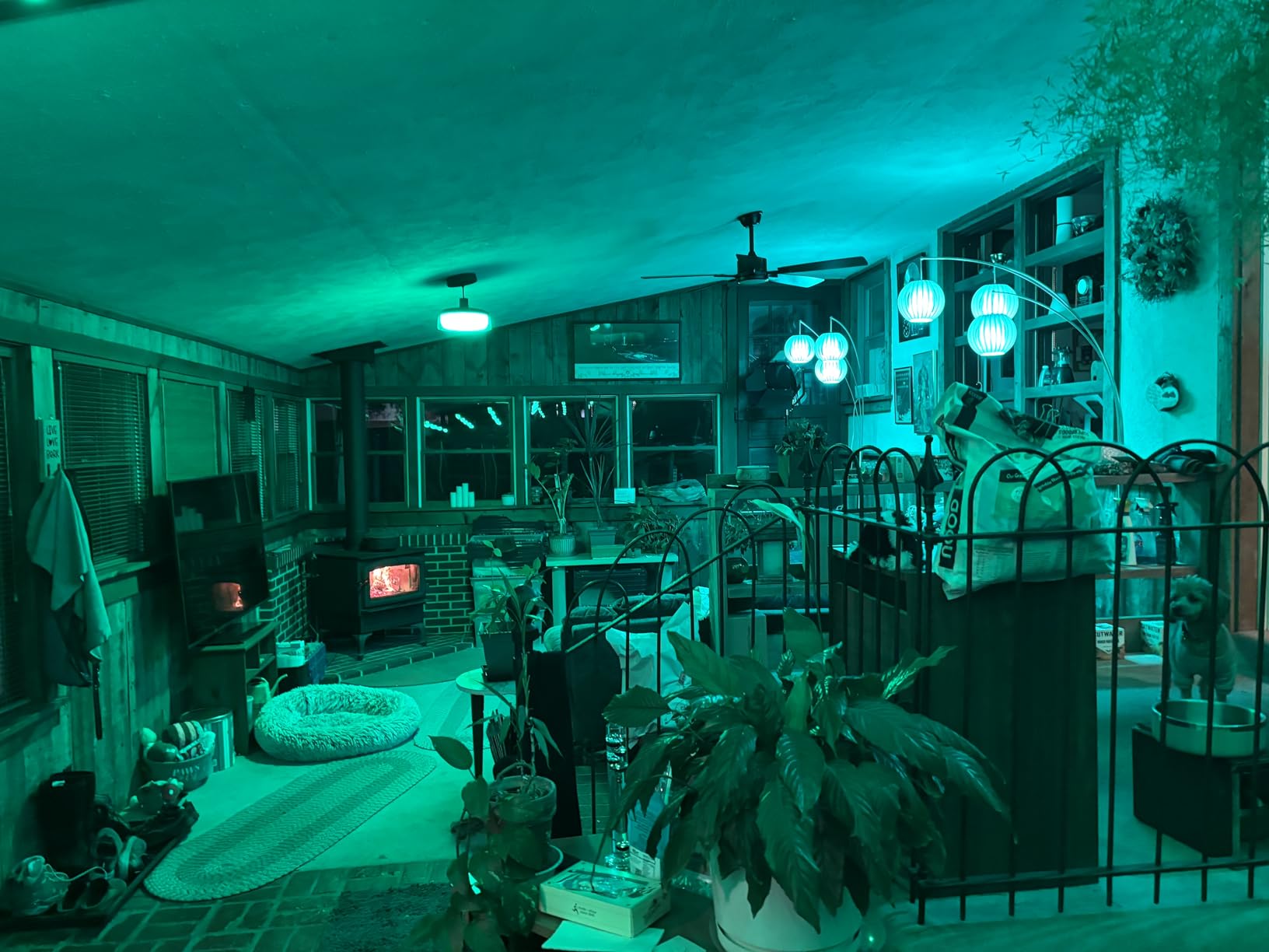 Govee Smart Light Bulbs, A19 Color Changing Light Bulb, 800 LM, E26 Base customer photo 2
