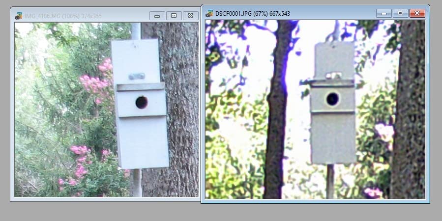 WOSODA Trail Camera 36MP 1920P, Night Vision, IP66 Waterproof Game Camera customer photo 1
