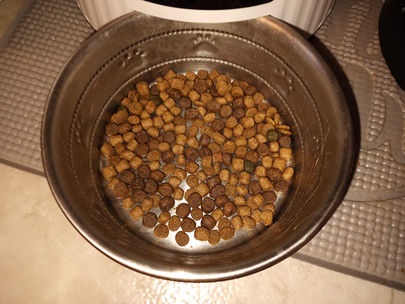 Petory Timed Automatic Cat Feeder - 4L Dry Food Dispenser for Cats and Dogs customer photo 1