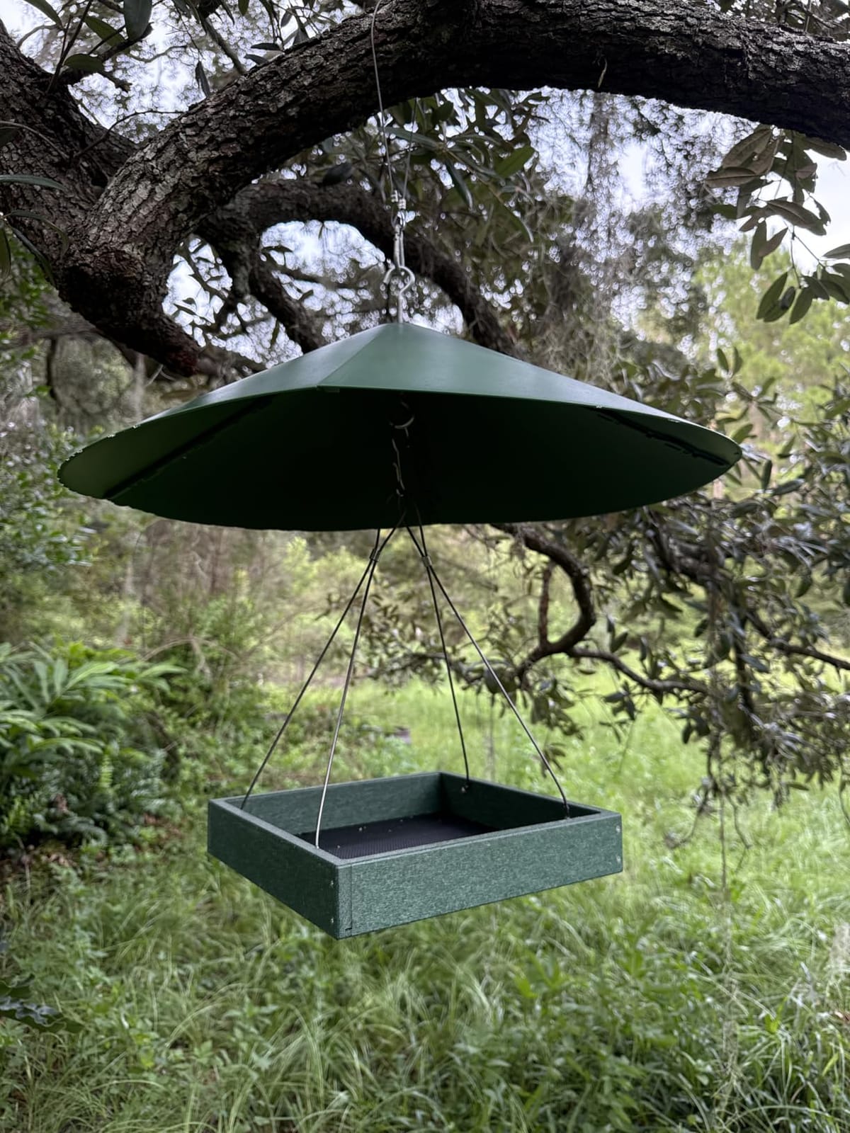 Kingsyard Platform Bird Feeder for Outdoors, Hanging Feeding Tray customer photo 2