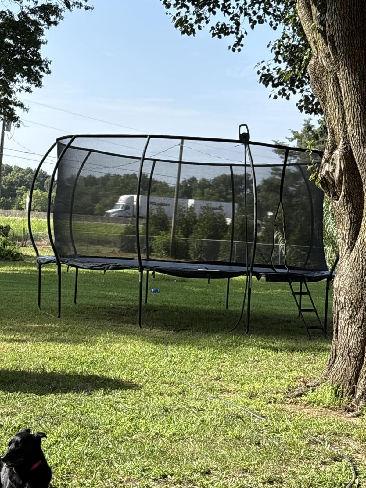 Jumpzylla Outdoor Trampoline with Net for Kids 8FT 10FT 12FT 14FT 15FT 16FT customer photo 1