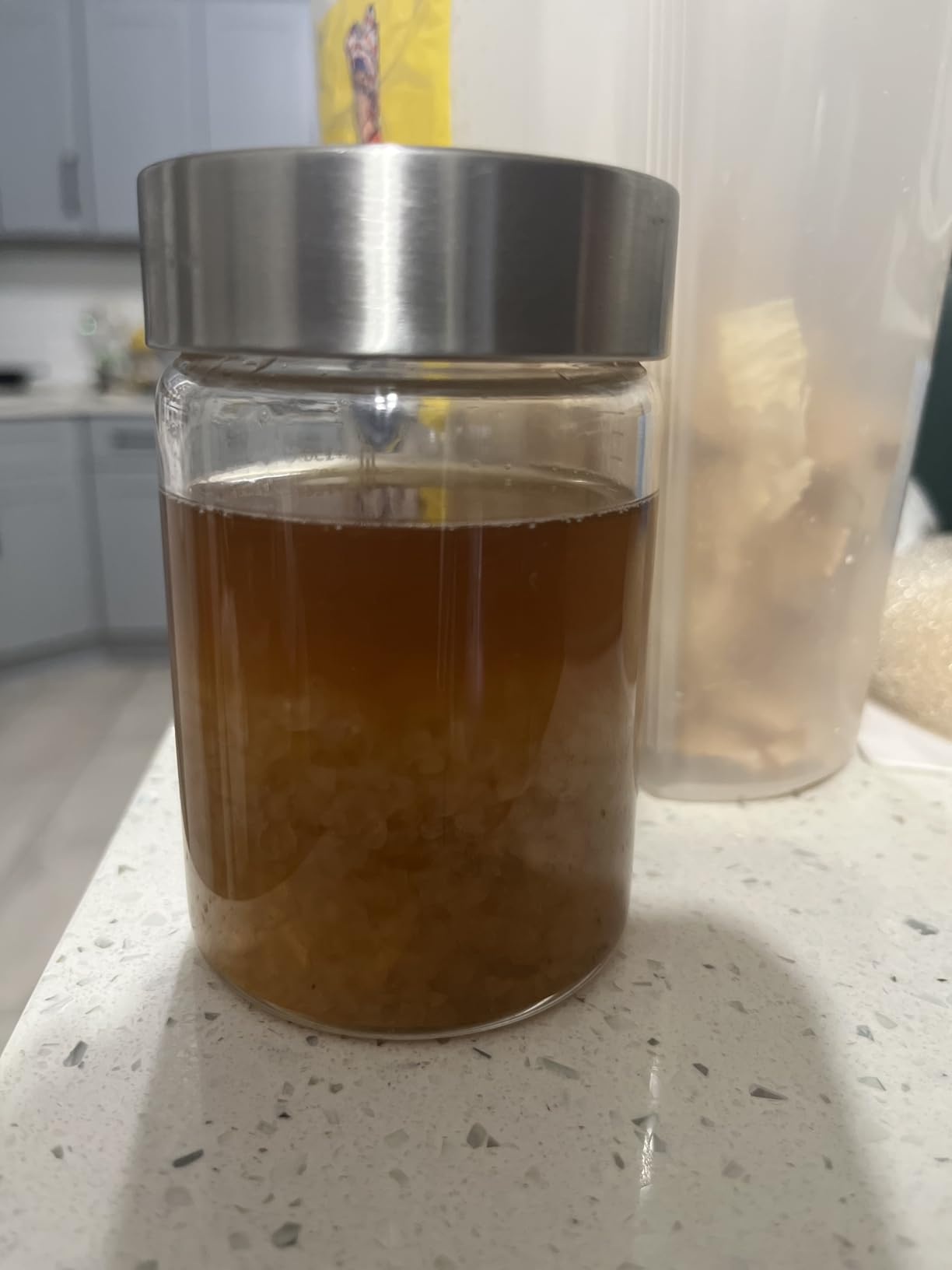 Natural Probio® Water Kefir Grains - Starter Culture Kit – Fruit Kefir + Complete Guide, Recipe & Tips + Ebook Library Access + Customer Support (0.35 oz dehydrated / 2.12 oz rehydrated) customer photo 1