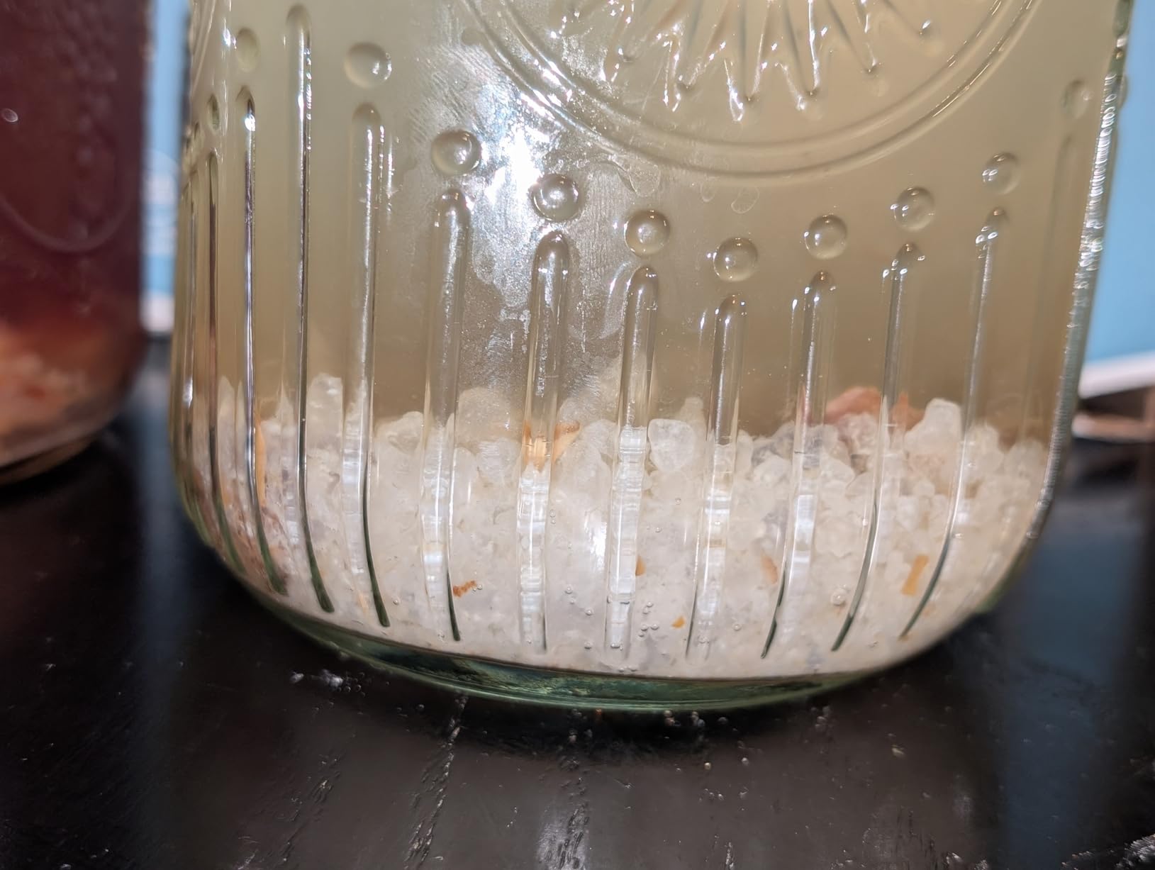 Natural Probio® Water Kefir Grains - Starter Culture Kit – Fruit Kefir + Complete Guide, Recipe & Tips + Ebook Library Access + Customer Support (0.35 oz dehydrated / 2.12 oz rehydrated) customer photo 2