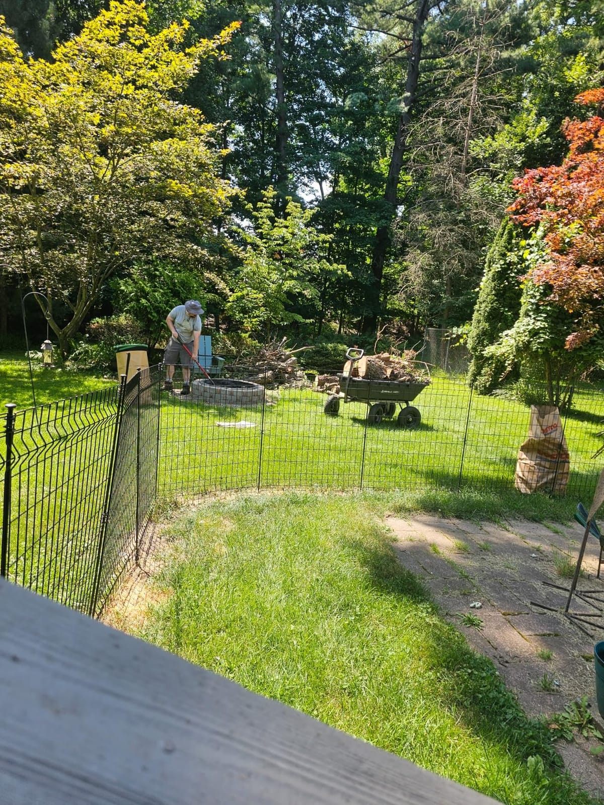 EGO POWER+ Chain Saw, 16” Battery Powered Chainsaw, Electric Cordless, Includes 56V 4.0Ah Battery and Charger – CS1613 customer photo 1