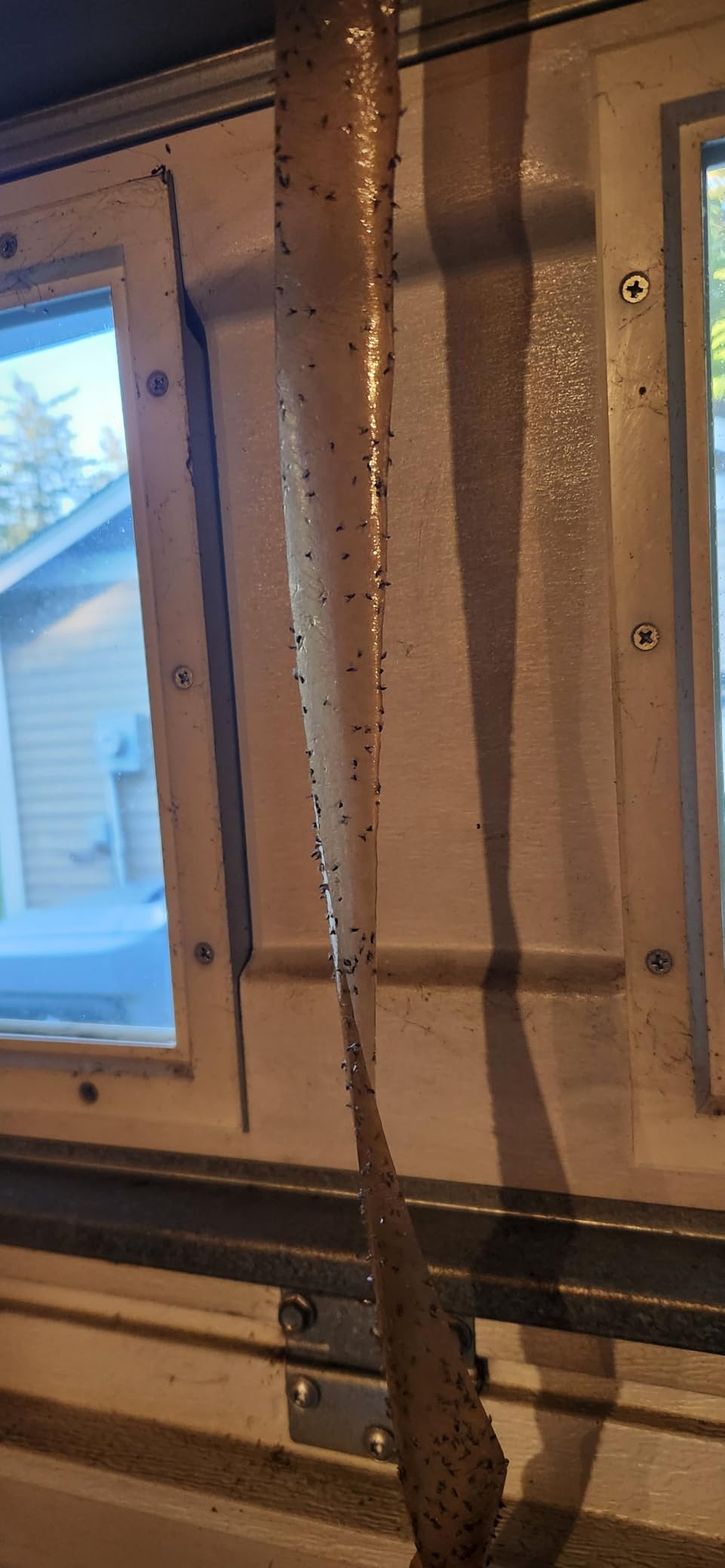 Fly Strips Indoor Sticky Hanging 24pk with Pins. Non Toxic Outdoor Fly Trap Indoor for Home. Flies Tape Paper Trap Ribbon Roll for House Gnat Fruit and Housefly. Bug Catchers for Inside Home Flypaper. customer photo 2