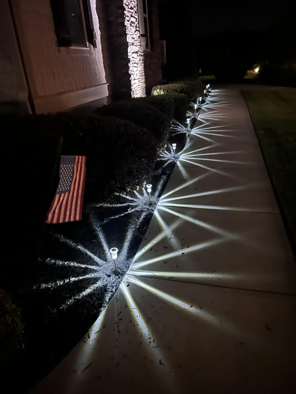 Eyrosa Solar Outdoor Lights, 10 Pack Waterproof Stainless Steel Solar Stake Lights for Pathway Garden Yard Path Walkway Driveway Lawn Patio Outside Decor, Cool White customer photo 1