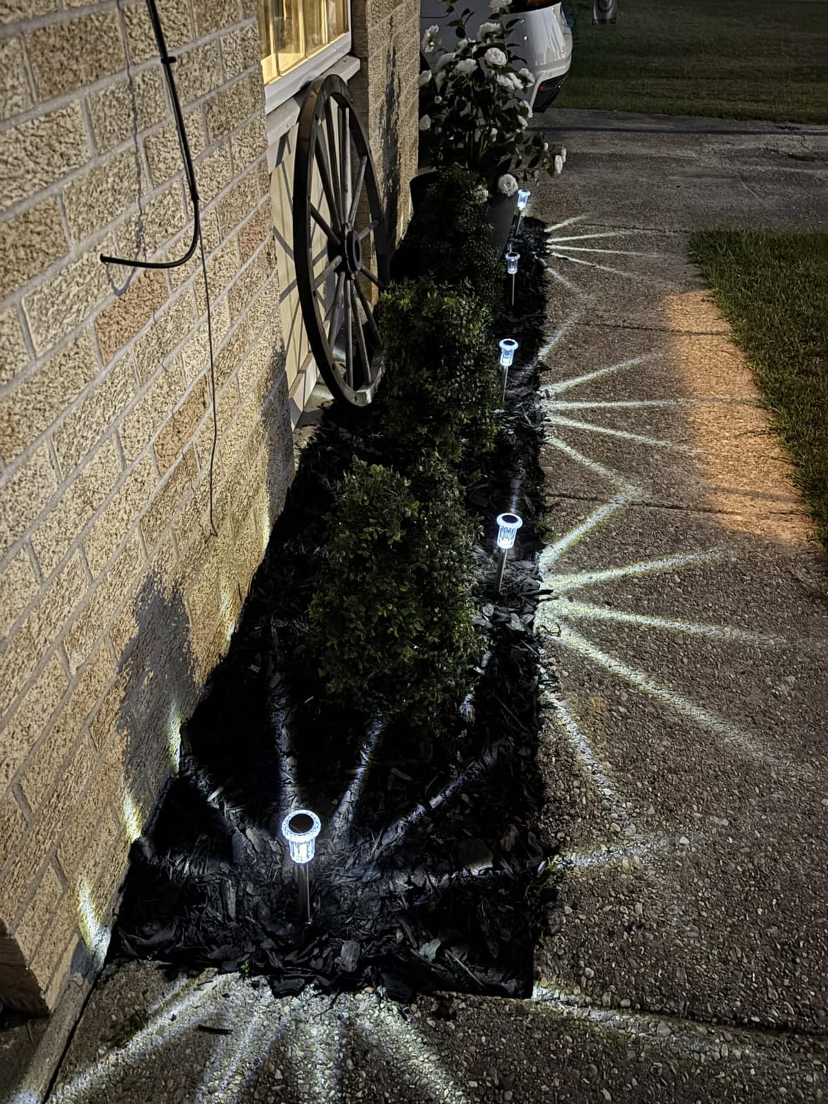 Eyrosa Solar Outdoor Lights, 10 Pack Waterproof Stainless Steel Solar Stake Lights for Pathway Garden Yard Path Walkway Driveway Lawn Patio Outside Decor, Cool White customer photo 2