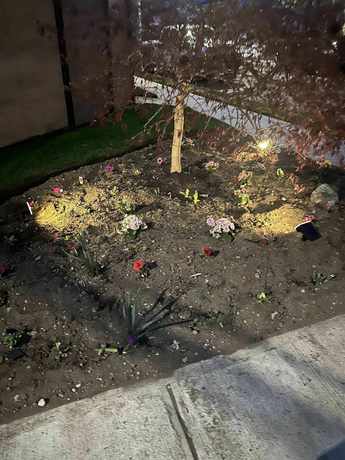 NYMPHY Solar Lights Outdoor Waterproof - 4 Pack (Cool White) customer photo 1