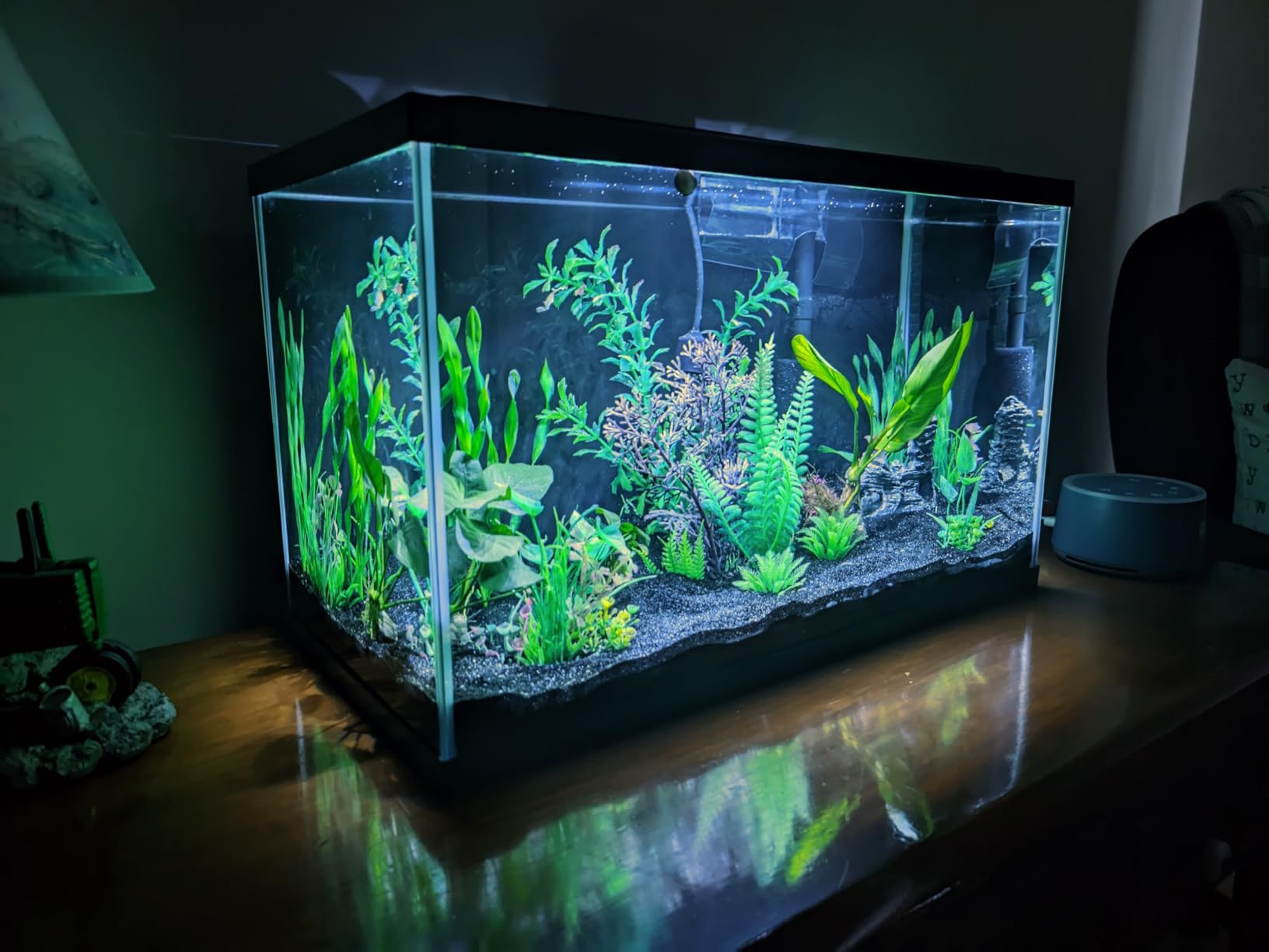Tetra Complete 55 Gallon Fish Tank Kit for Freshwater & Saltwater Fish customer photo 2
